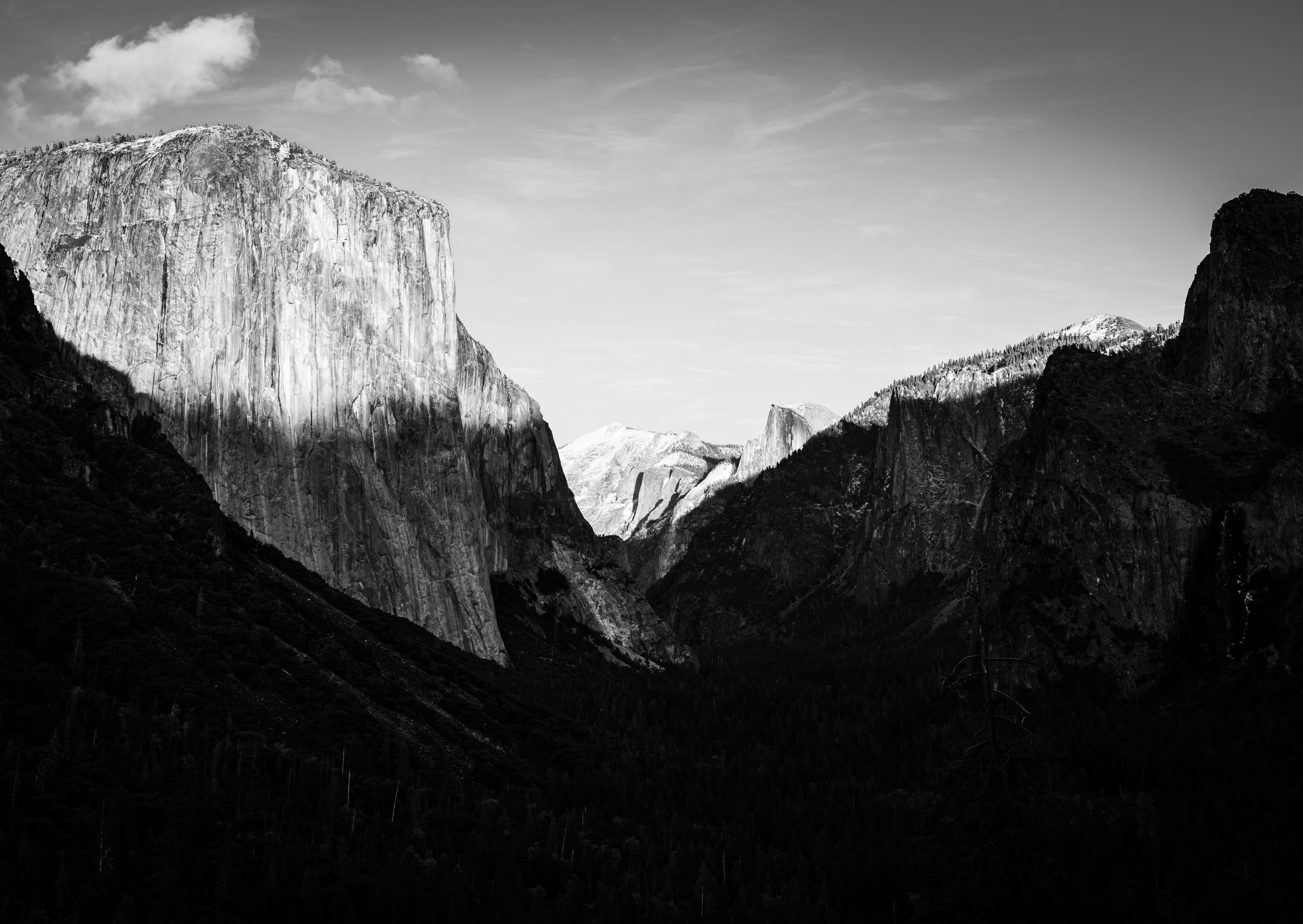 Photo by through_my_travel_lens