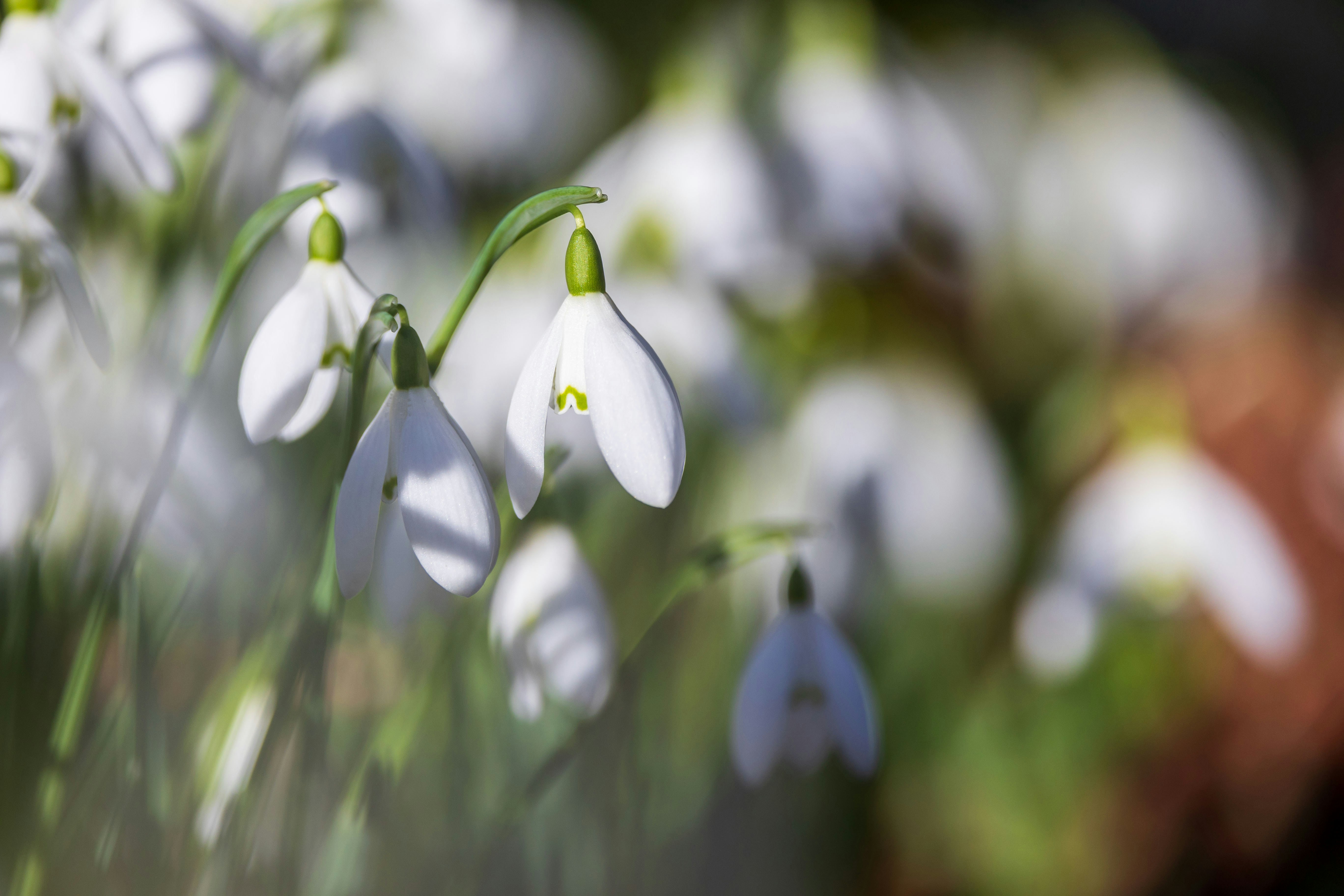 Photo by rachellouisephotography