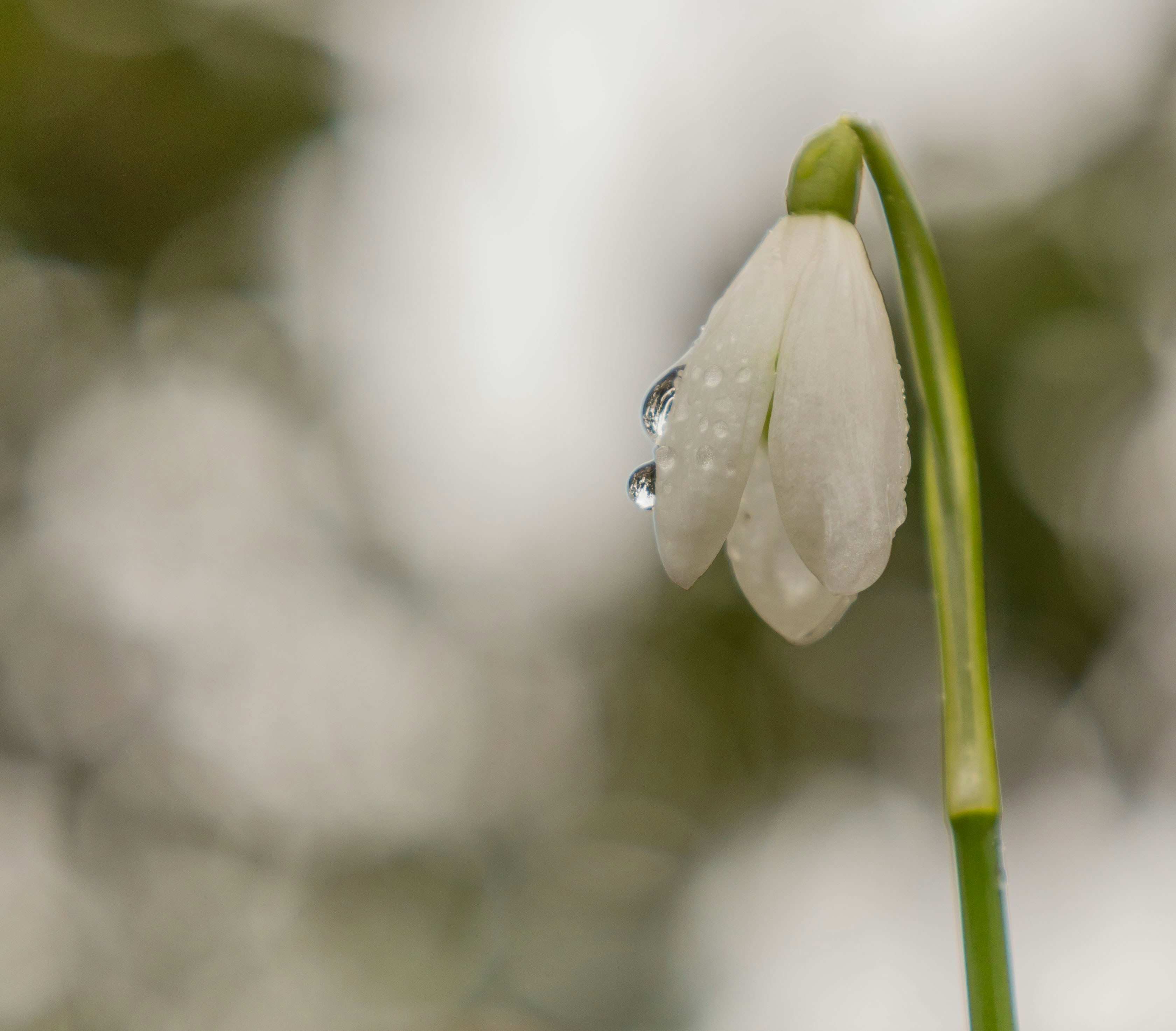 Photo by rachellouisephotography