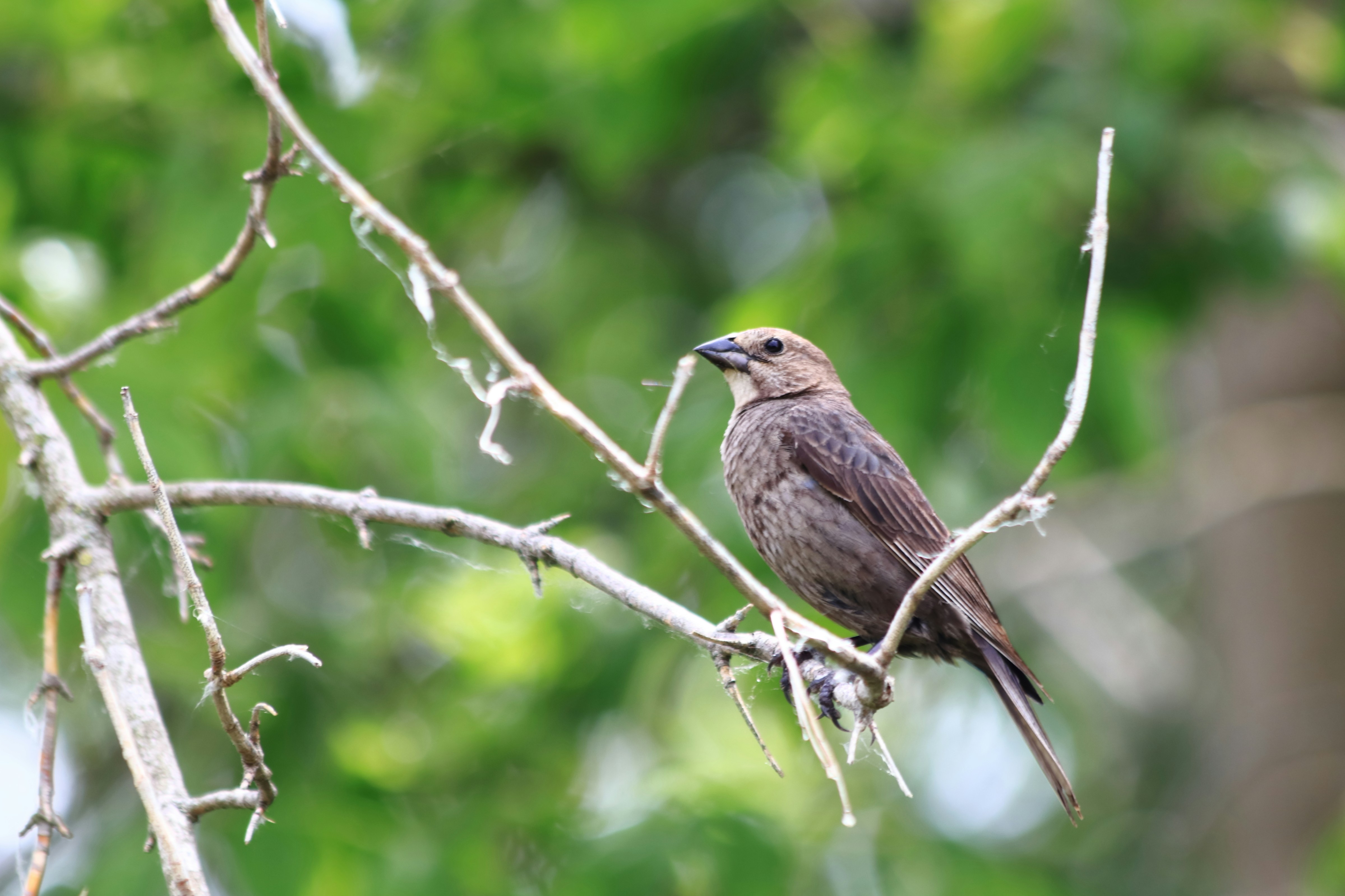 Photo by beyond_thehorizons