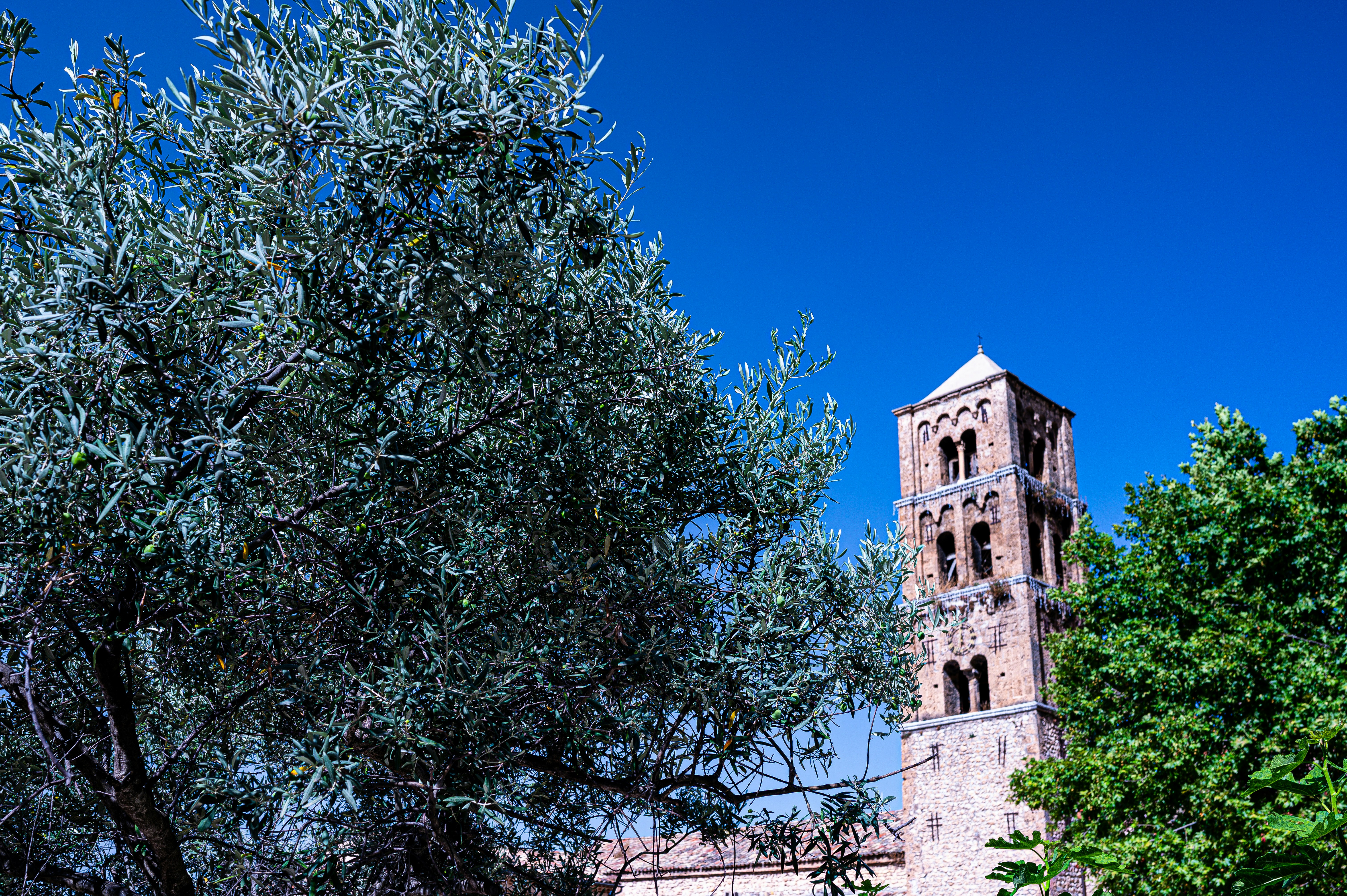 Photo by through_my_travel_lens