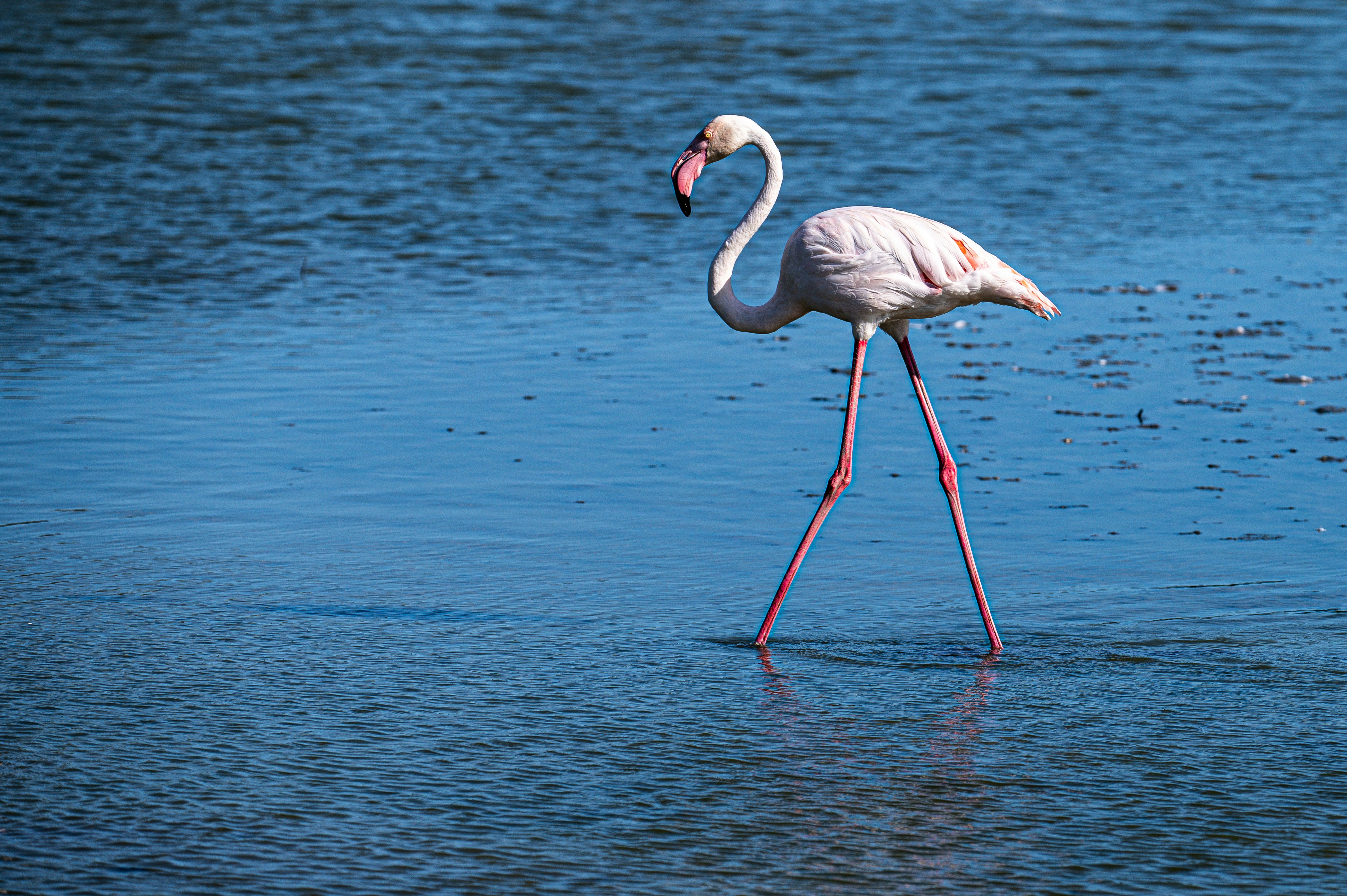 Photo by through_my_travel_lens