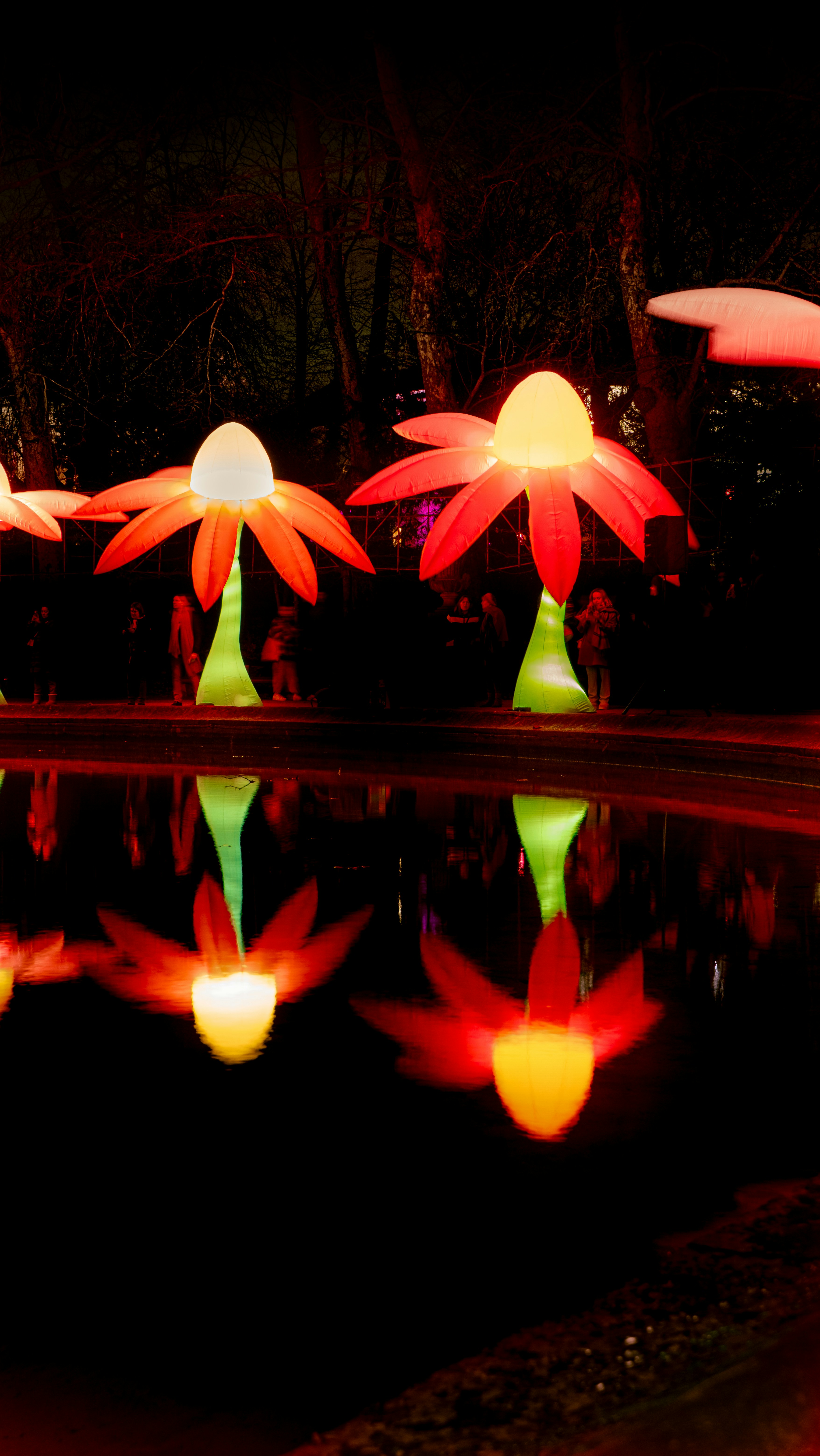 Glowing flower-shaped lights reflected in dark water