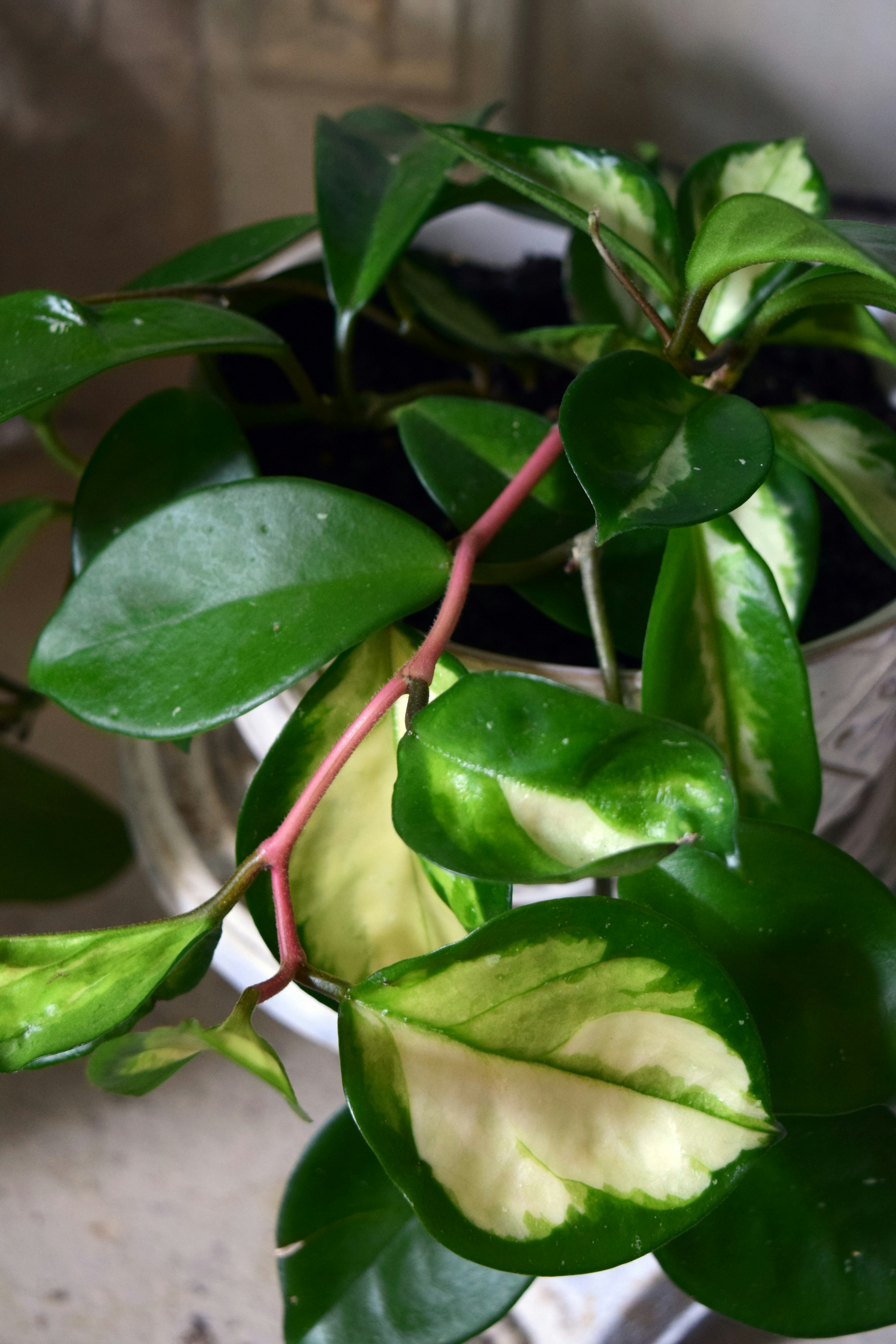 Photo by rebeccamatthews