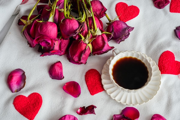 Valentine's Day party bus and limo rental