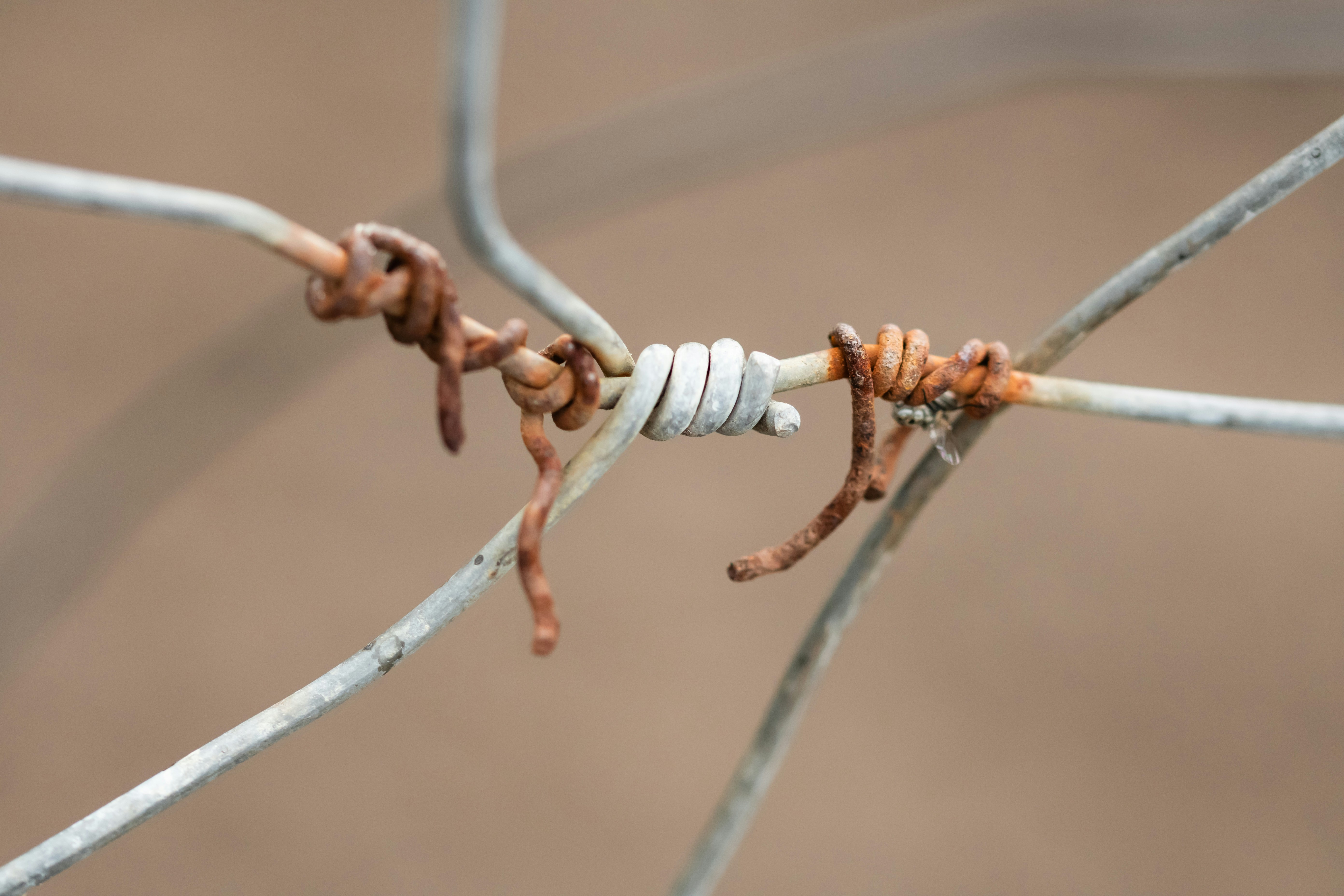 Rostiger Stacheldrahtzaun mit weißem Isolator.