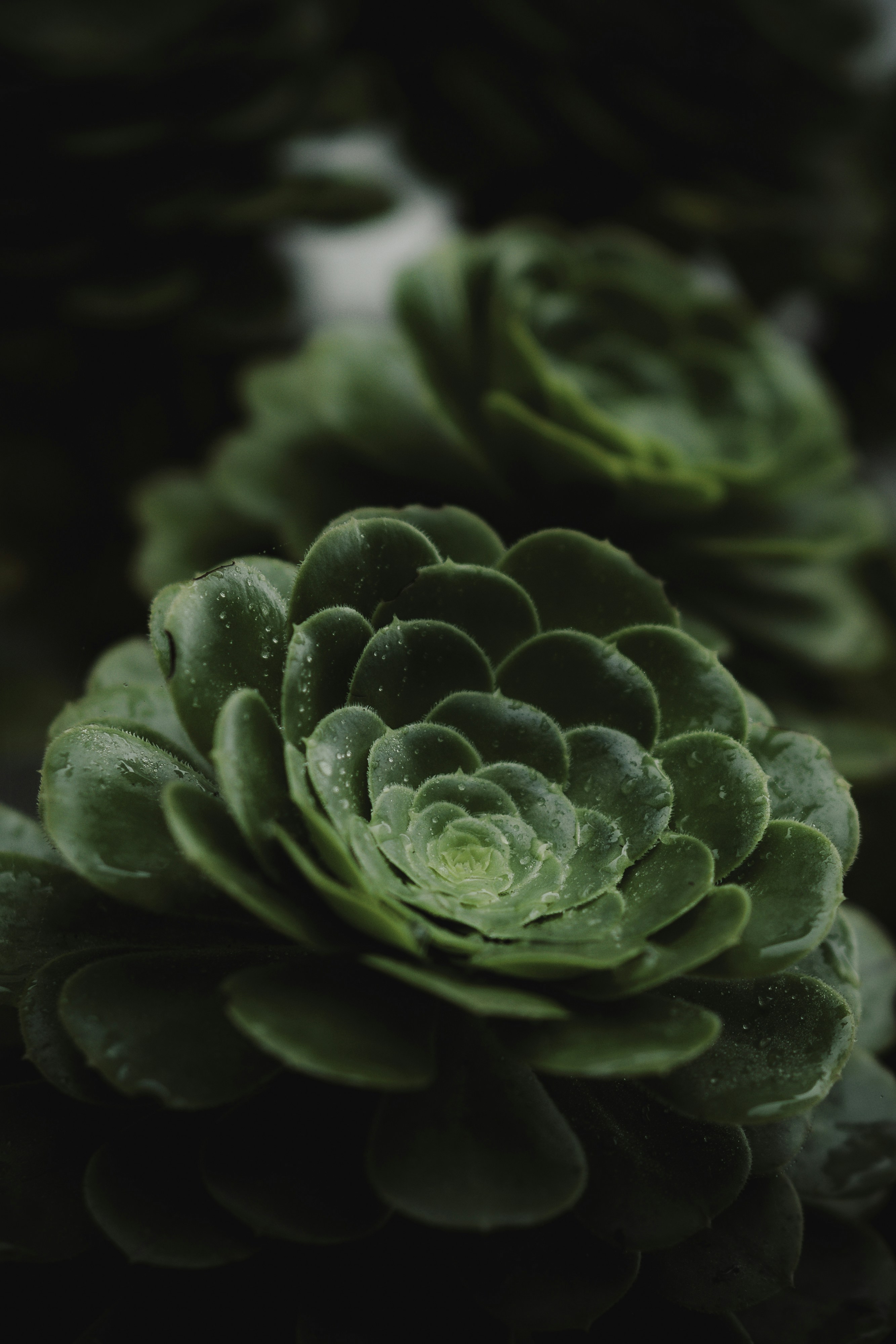 Photo by theblack_hood