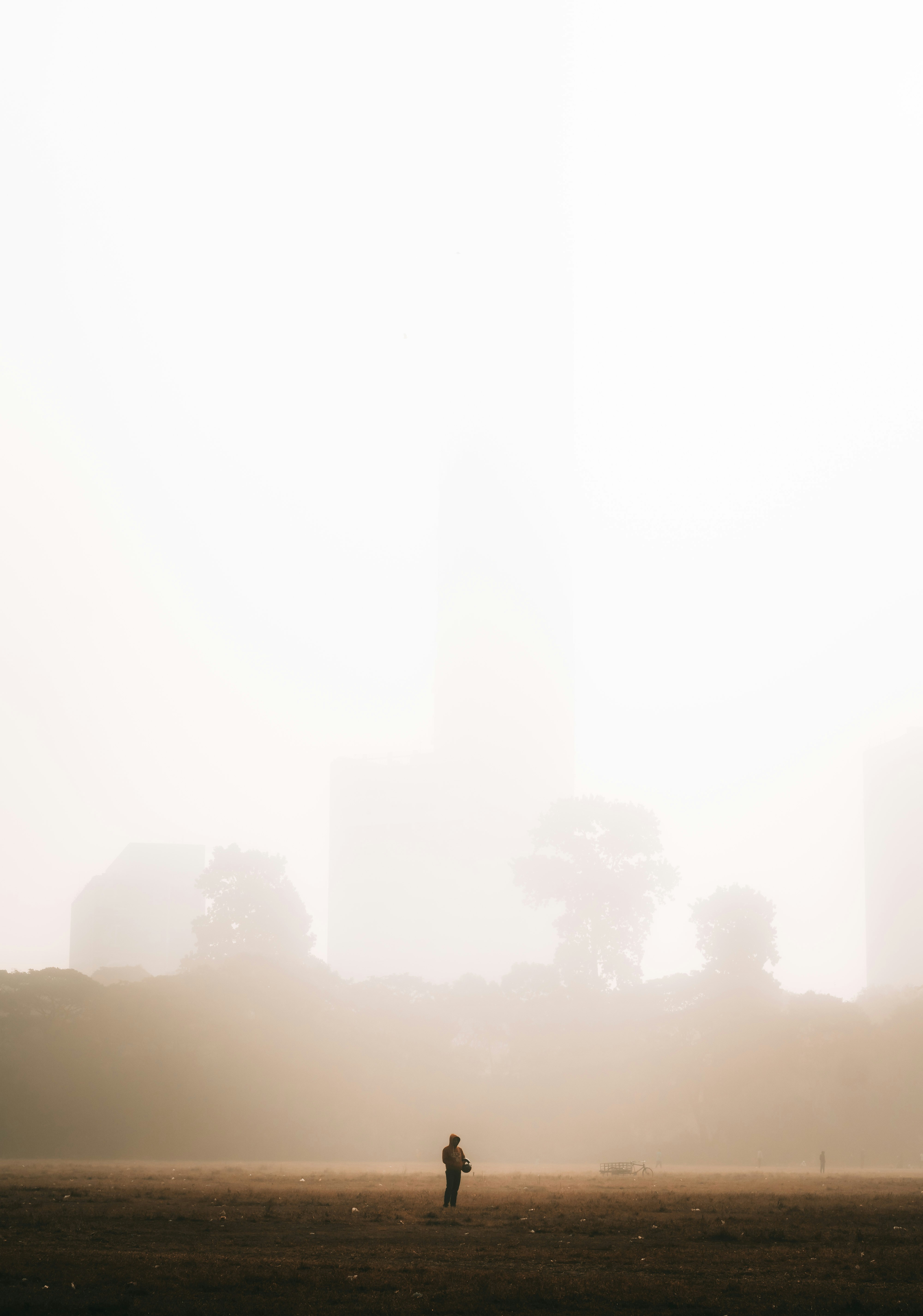 A lone person stands in a foggy park at sunrise.