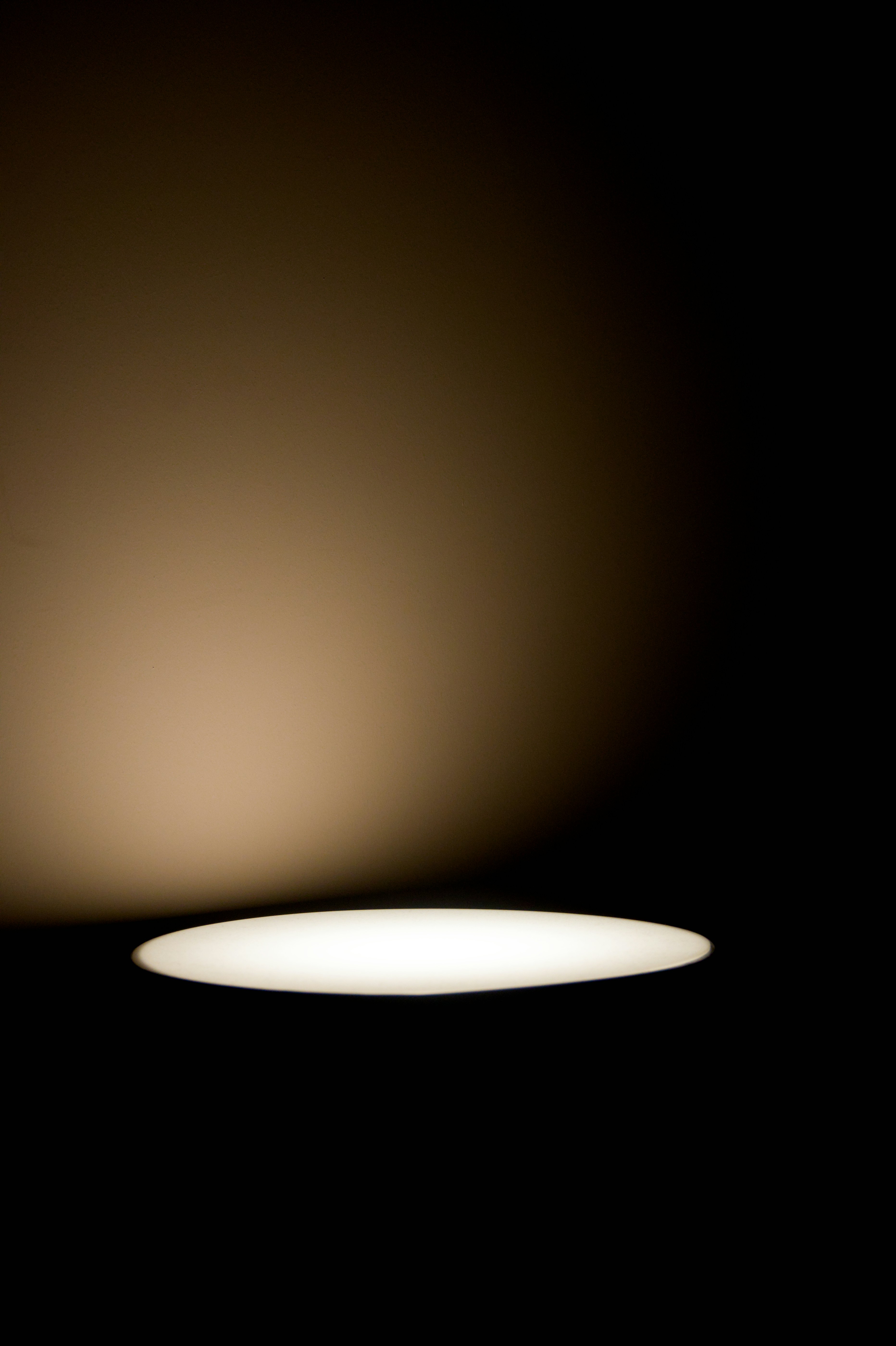 Photo by aminzabardast