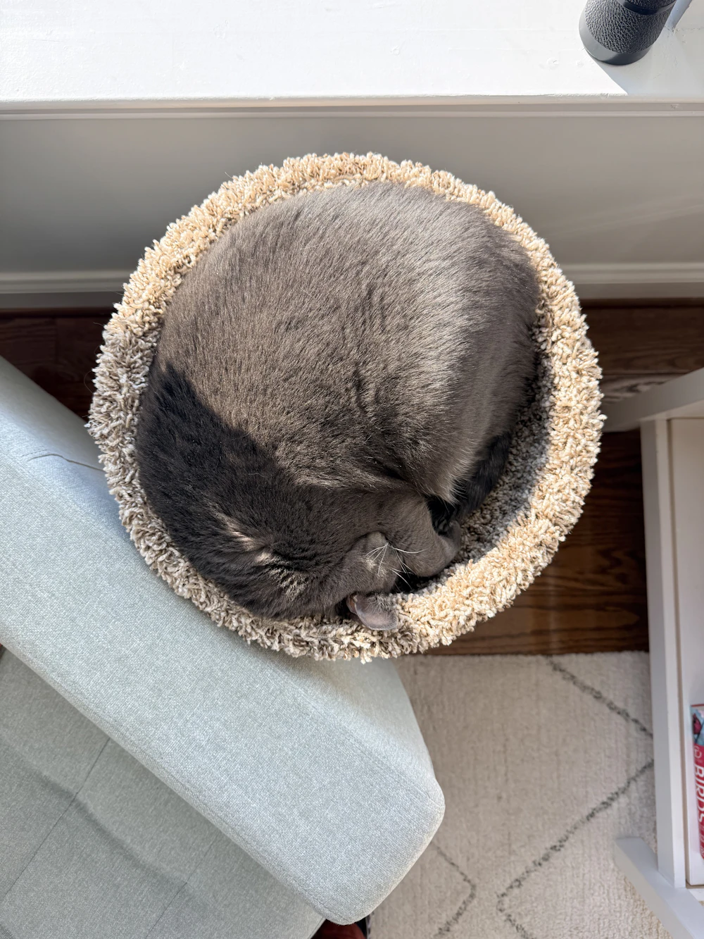 Yuvarlak Peluş Kedi Yatağı