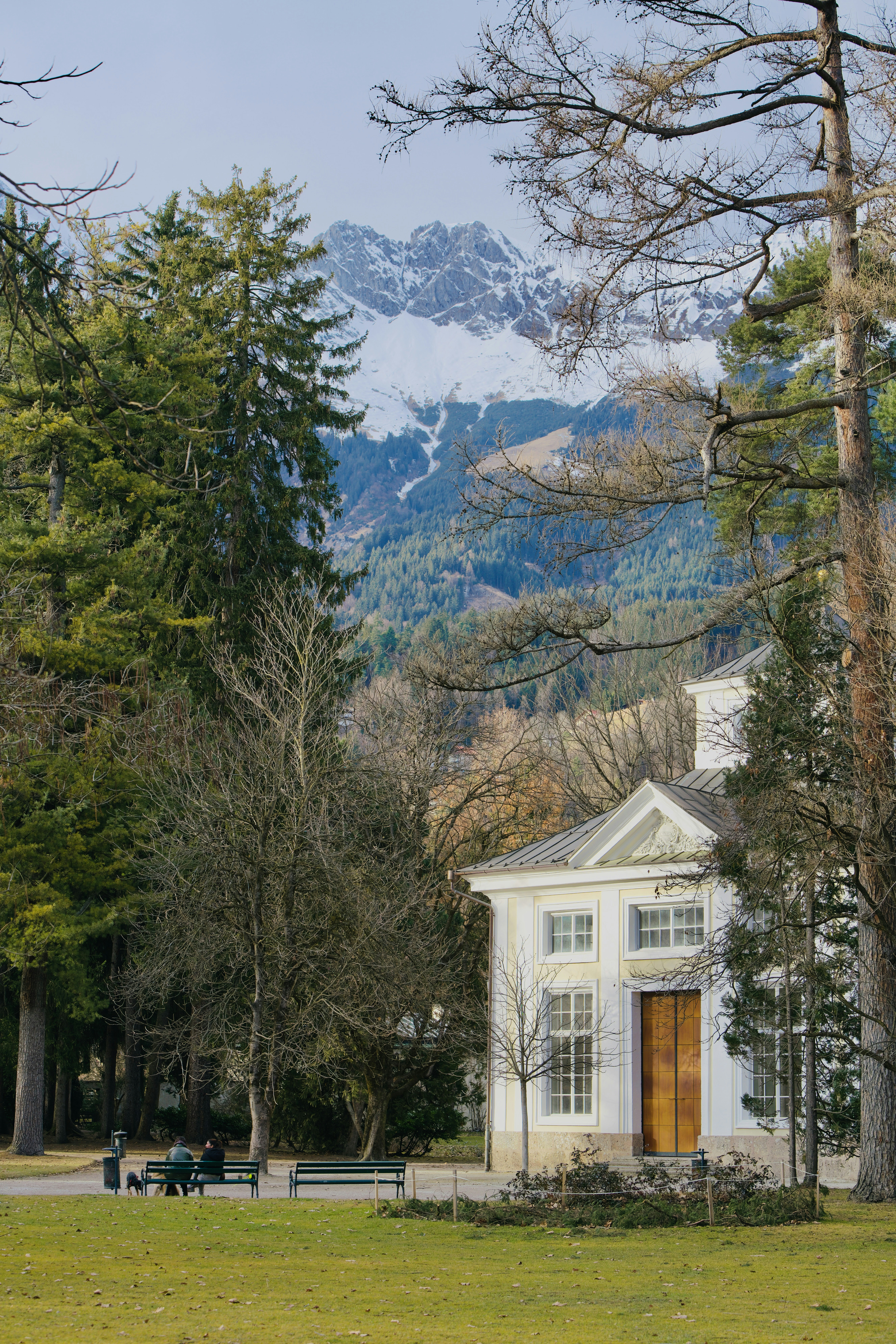 Austrian landscape dog