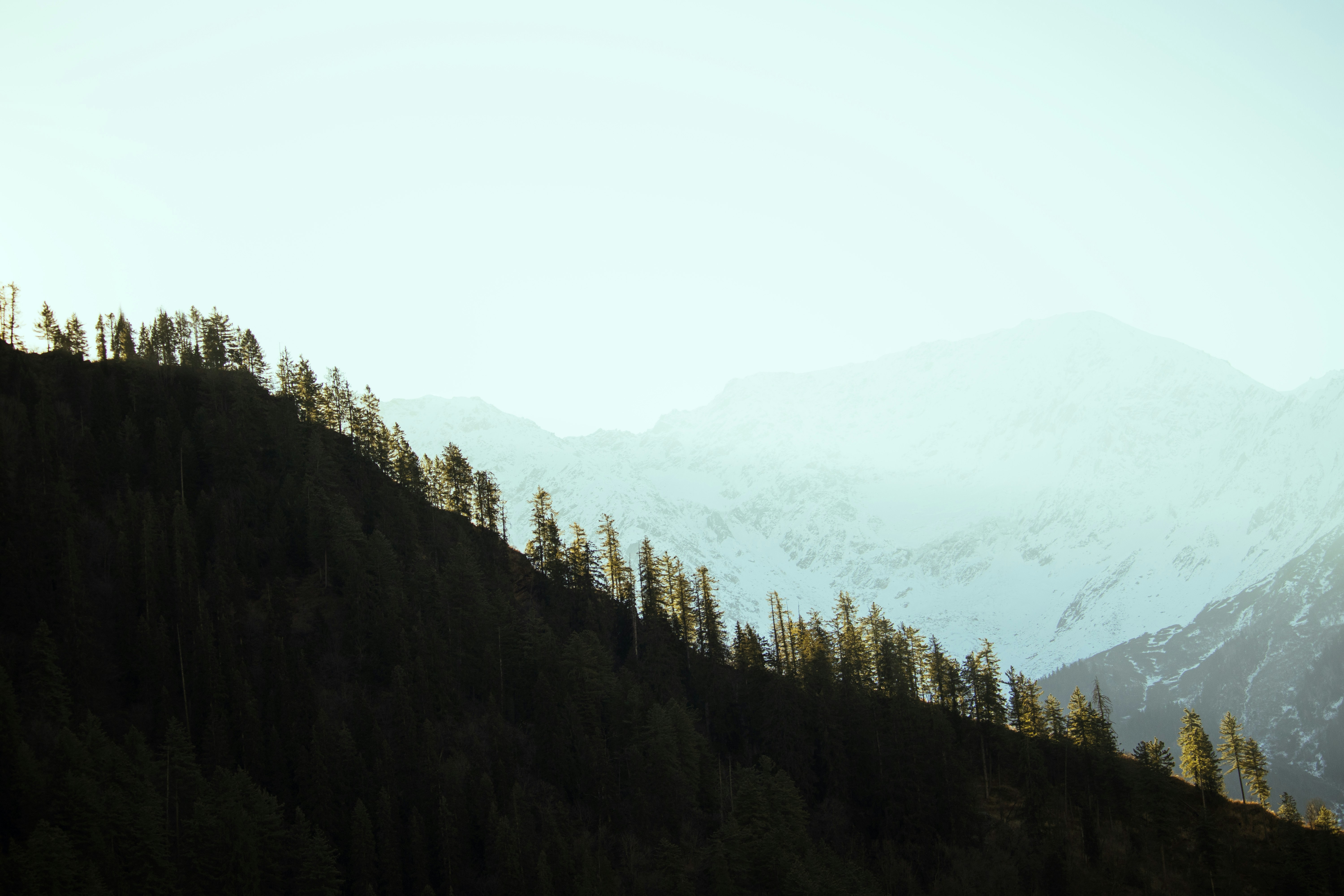 Photo by rudrarg09
