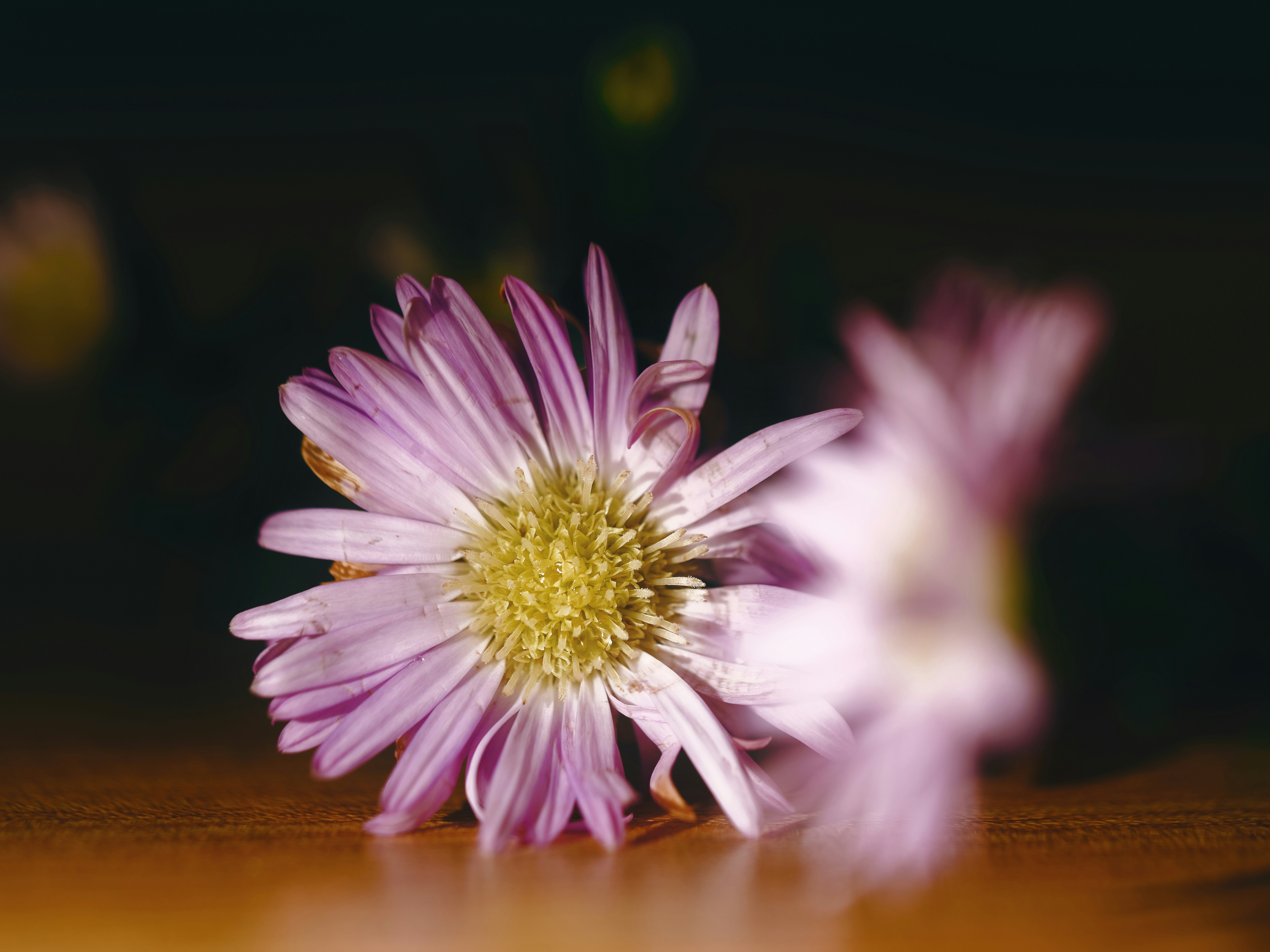 Photo by liliantruong2603