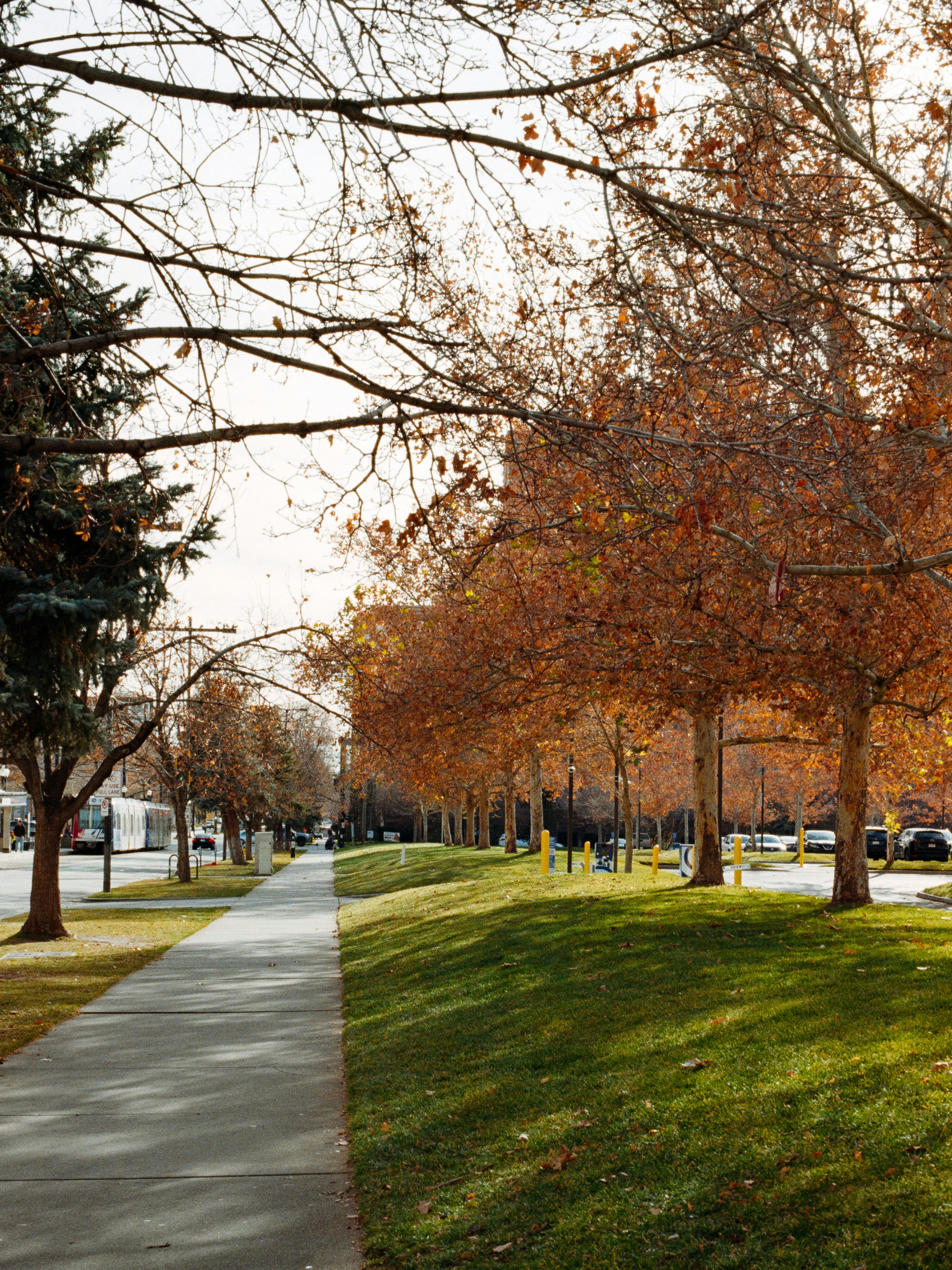 Photo by ukprajapati