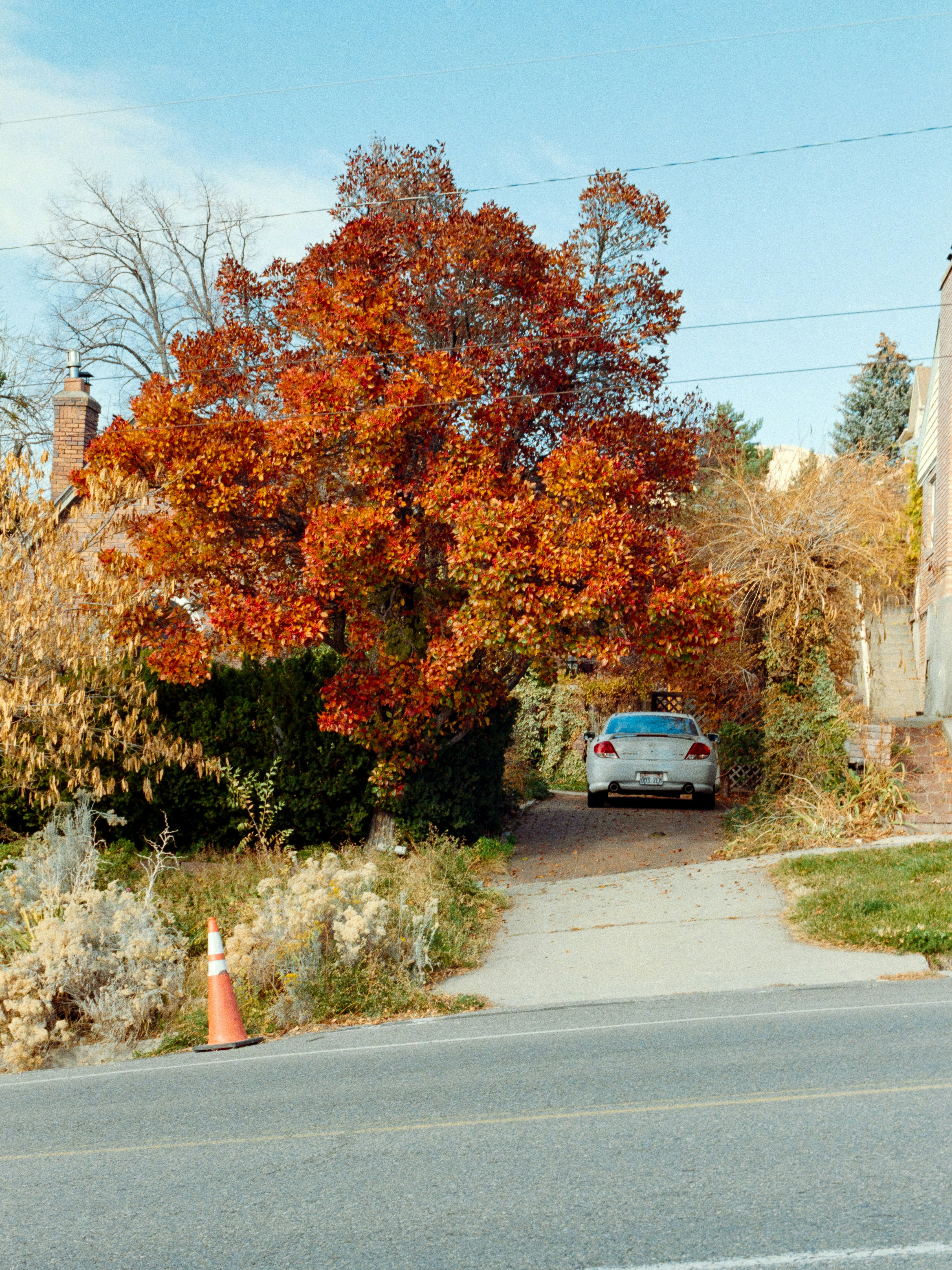 A white car parked under a vibrant autumn tree.