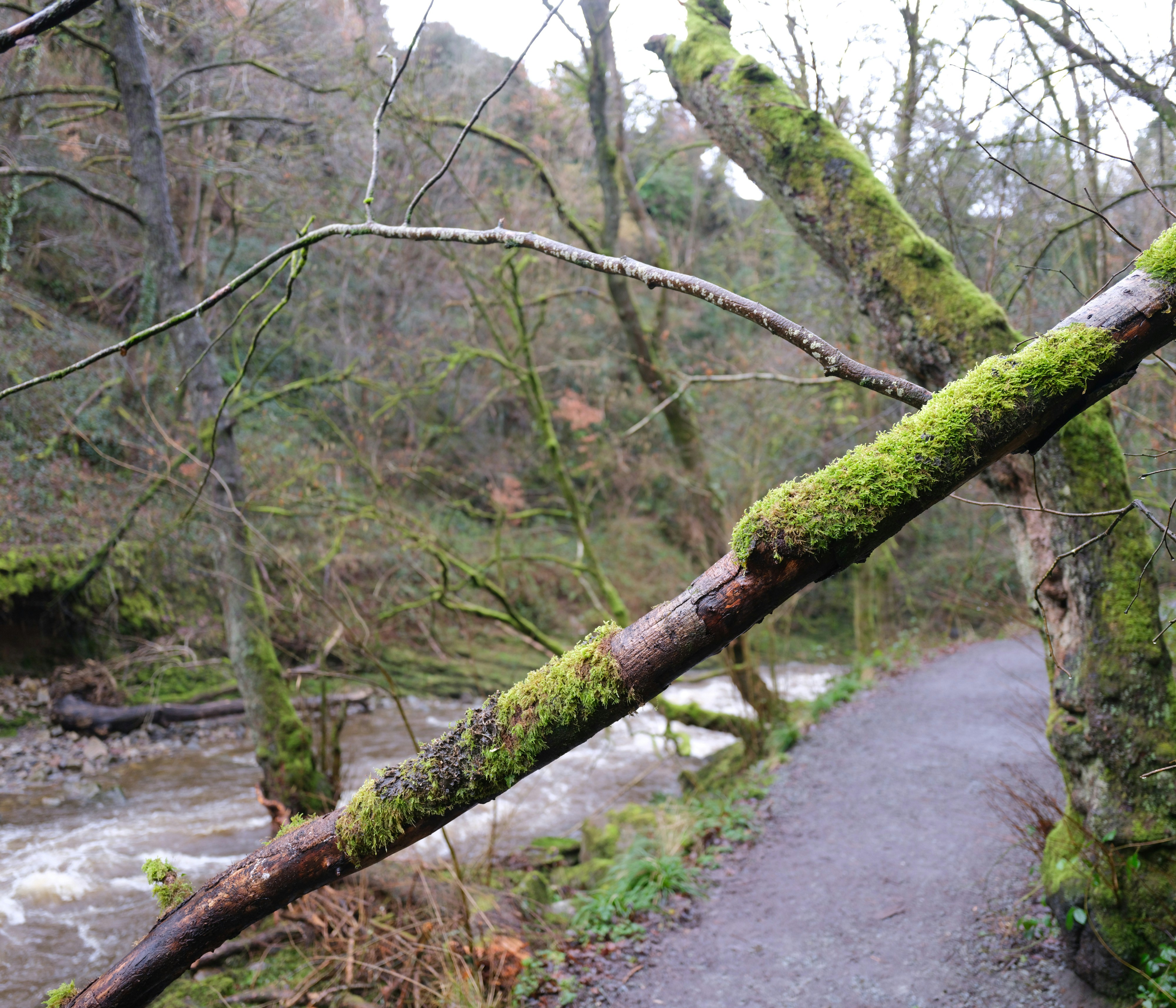 Photo by tanyabarrow