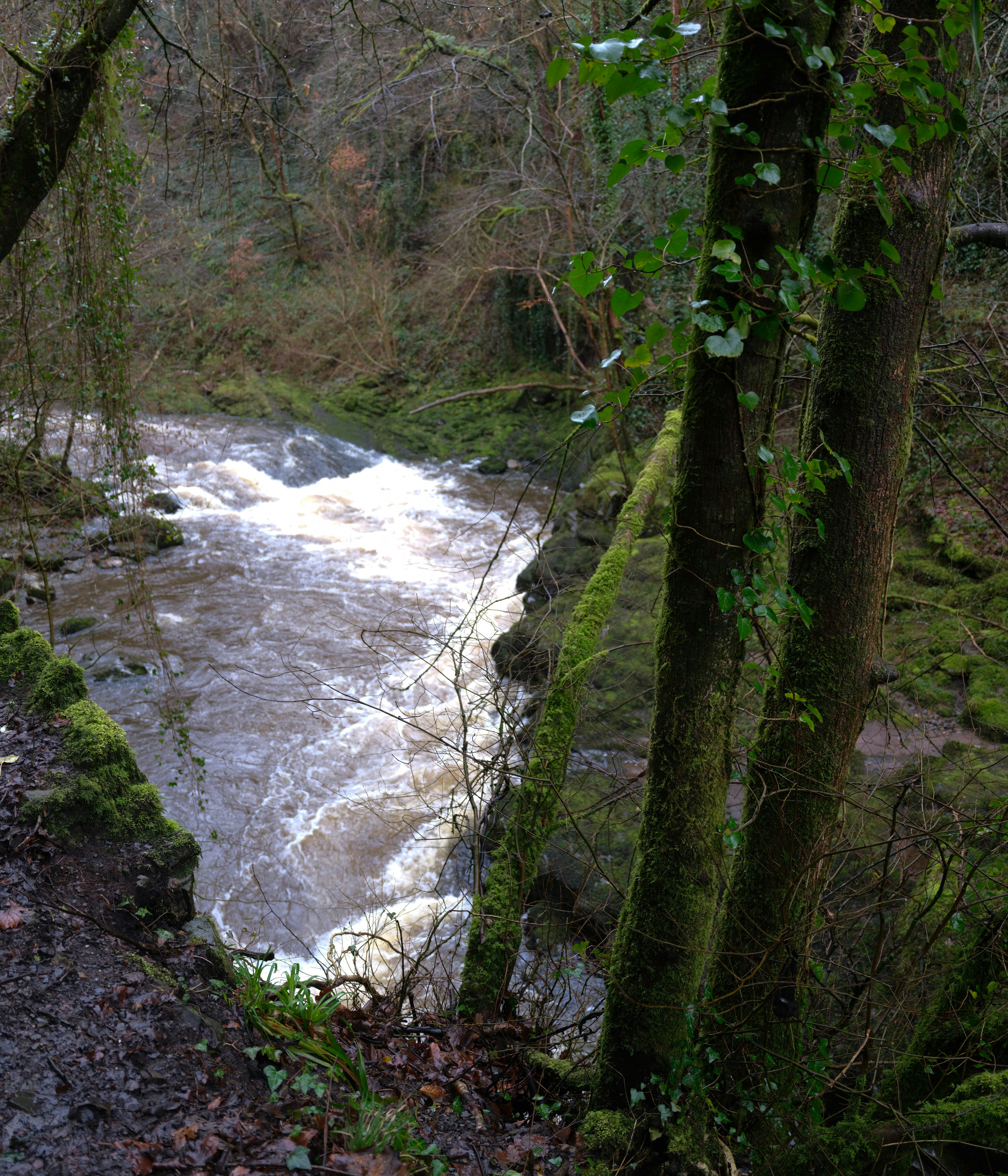 Photo by tanyabarrow