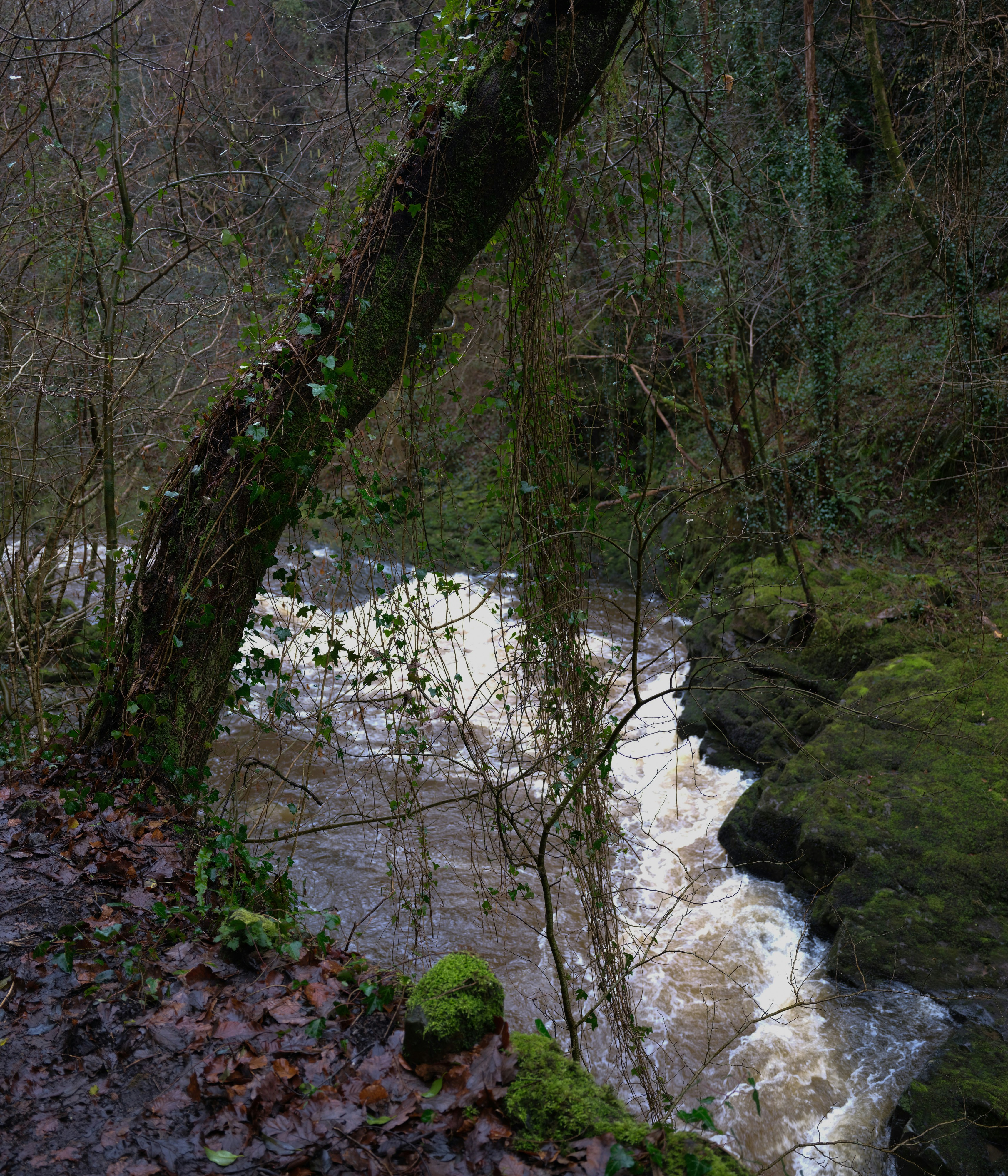 Photo by tanyabarrow