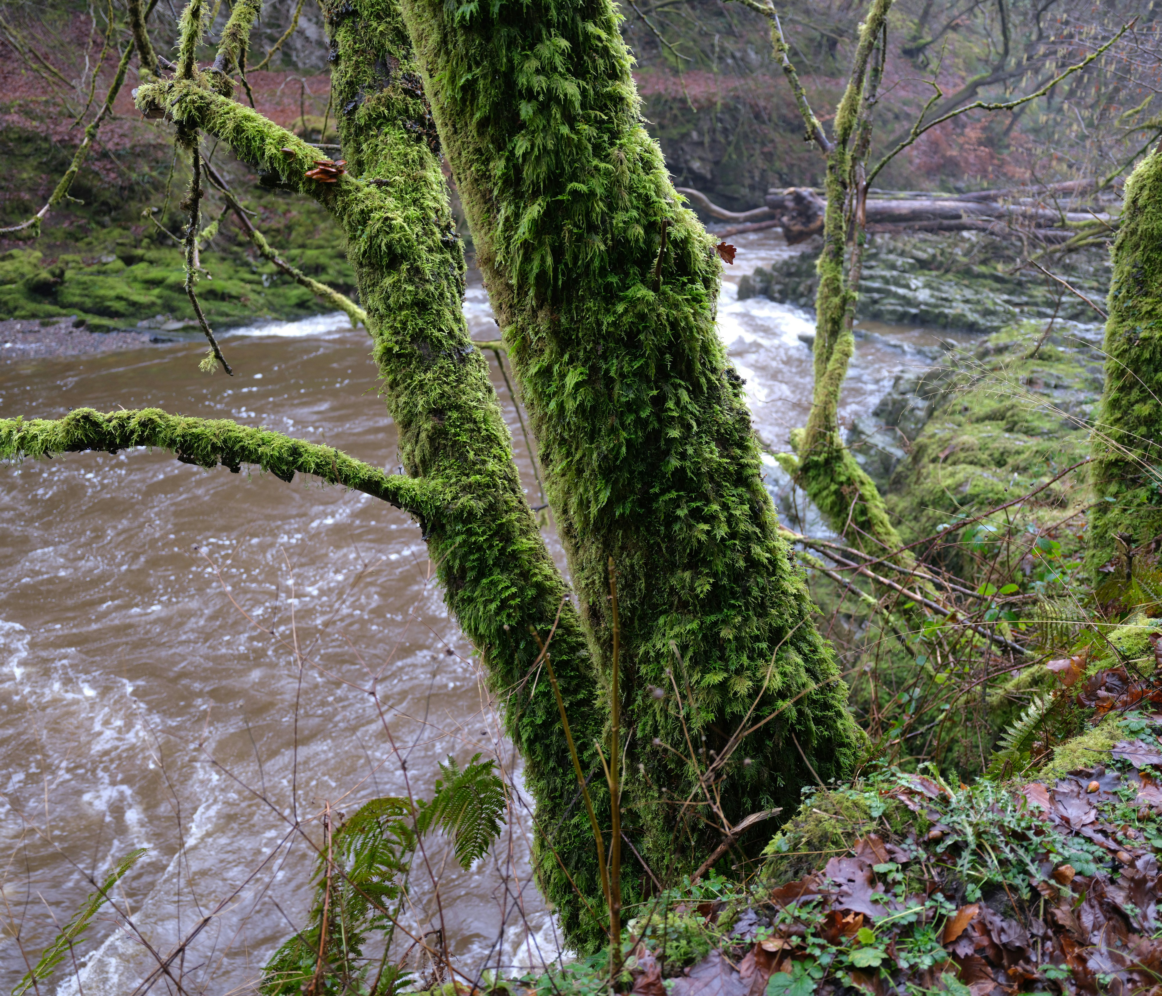 Photo by tanyabarrow