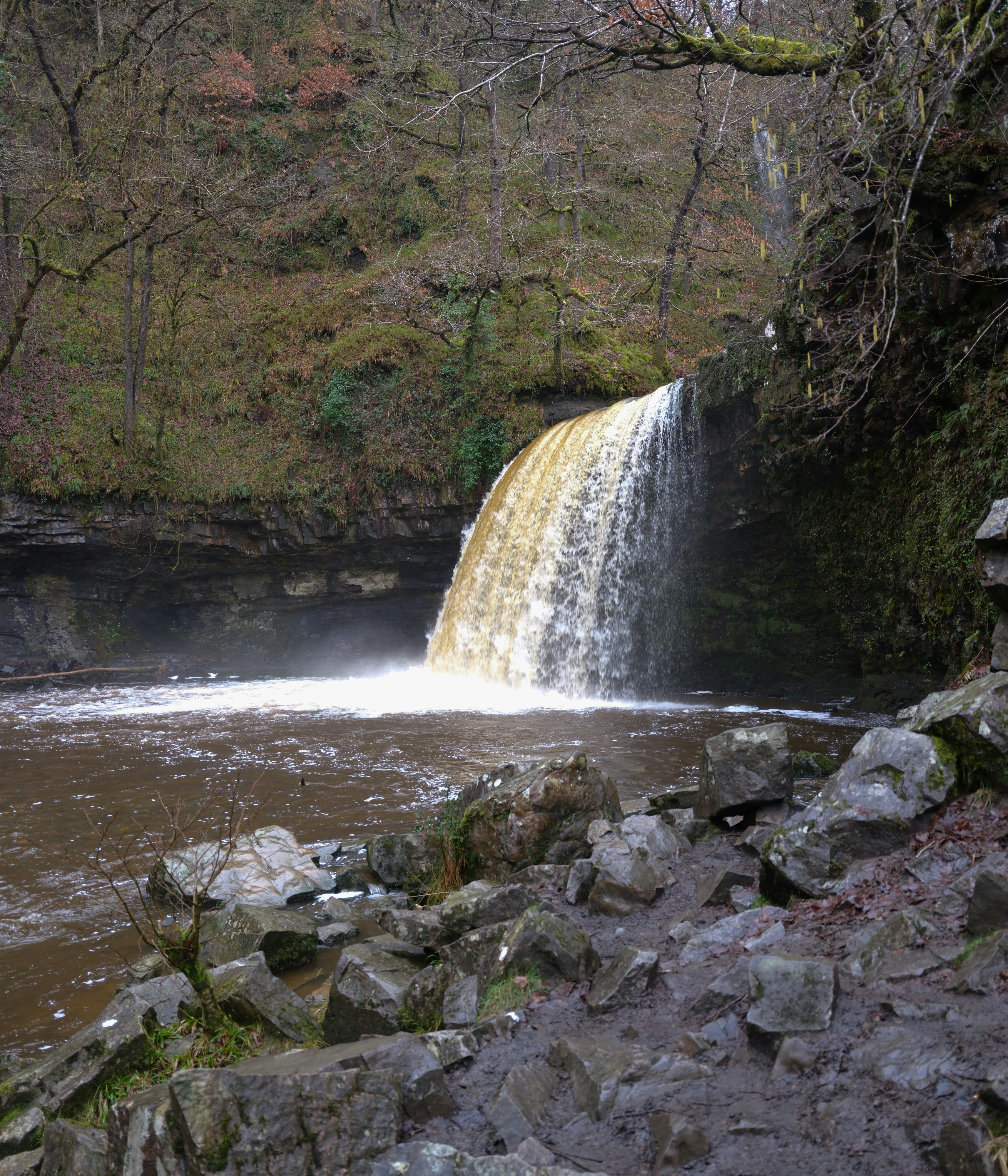 Photo by tanyabarrow