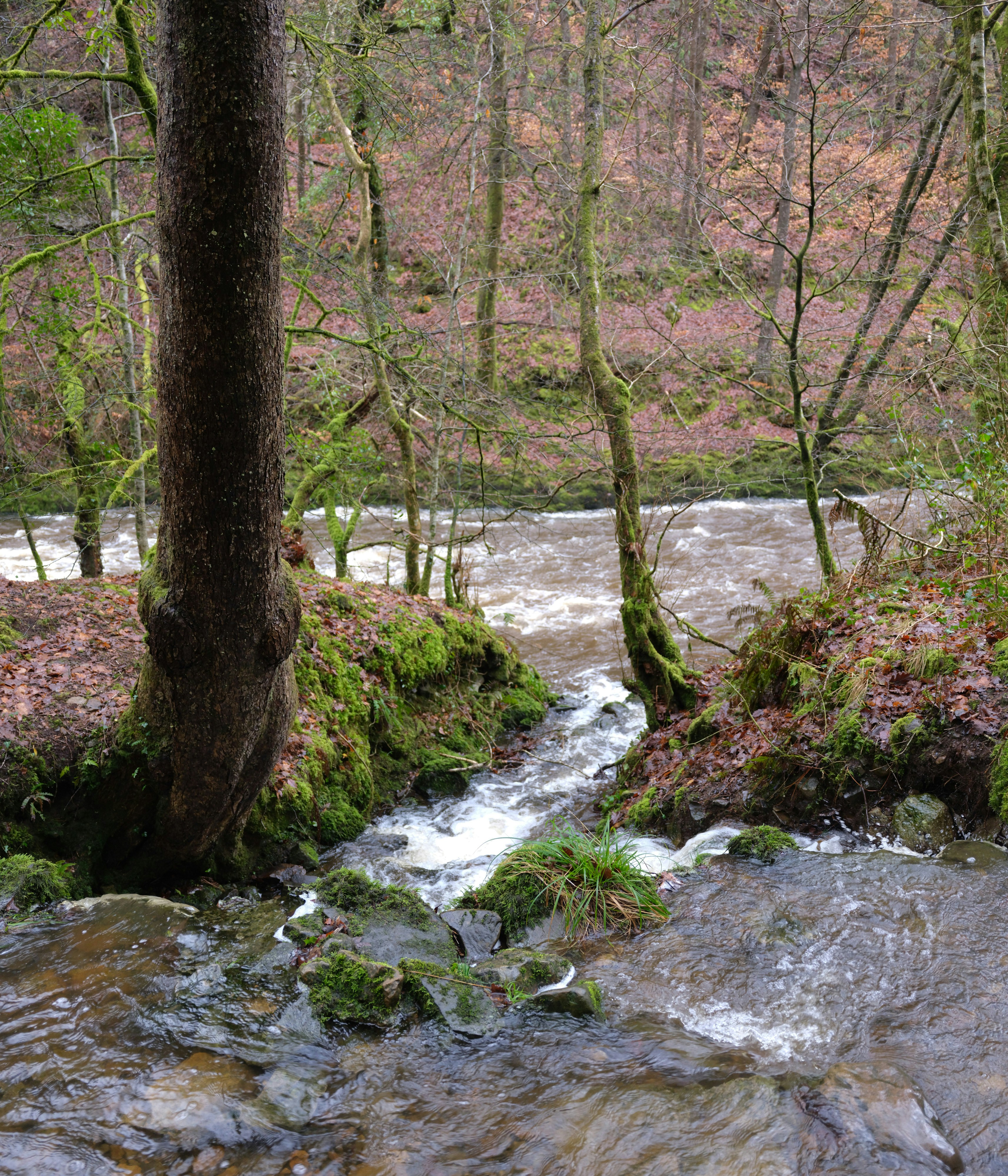 Photo by tanyabarrow