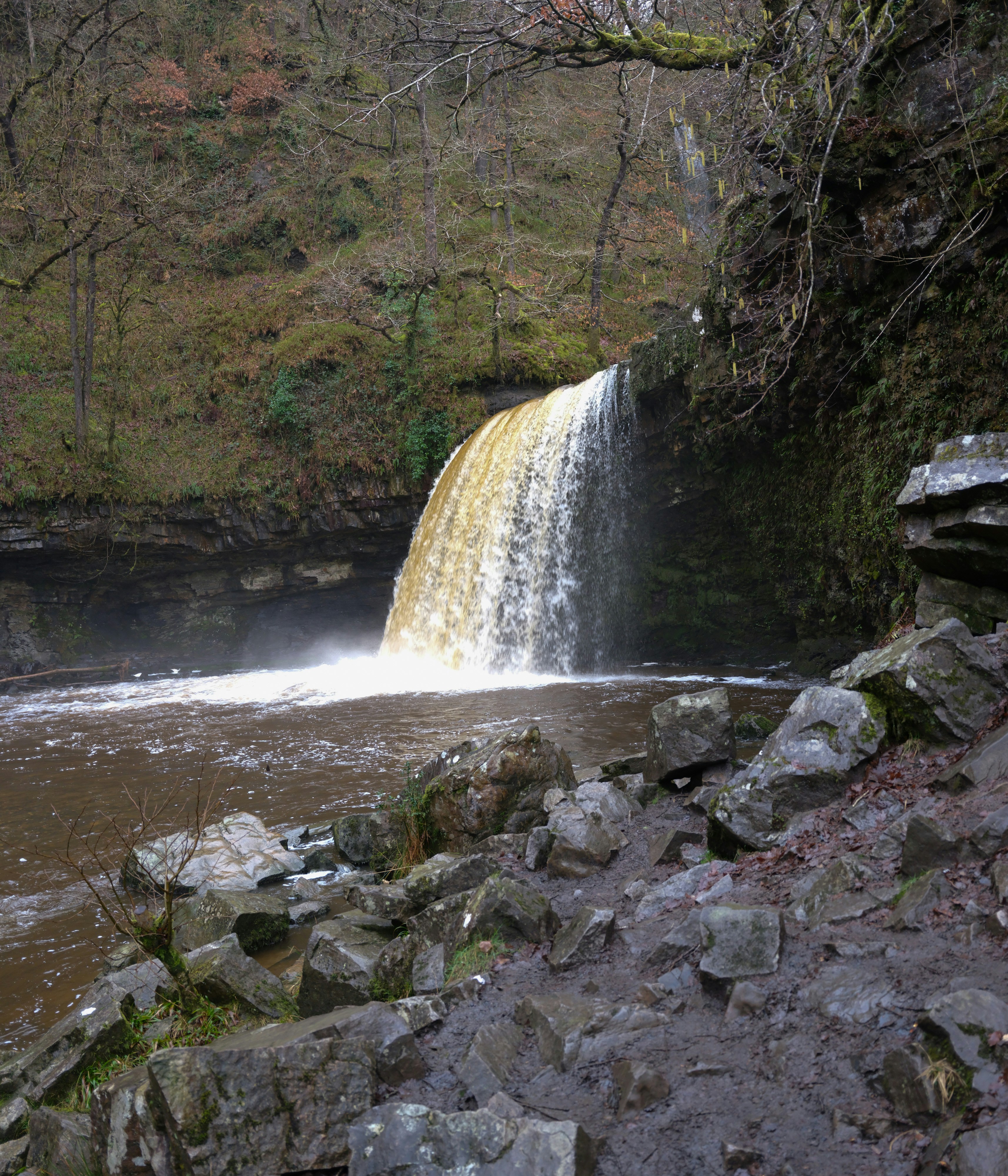 Photo by tanyabarrow