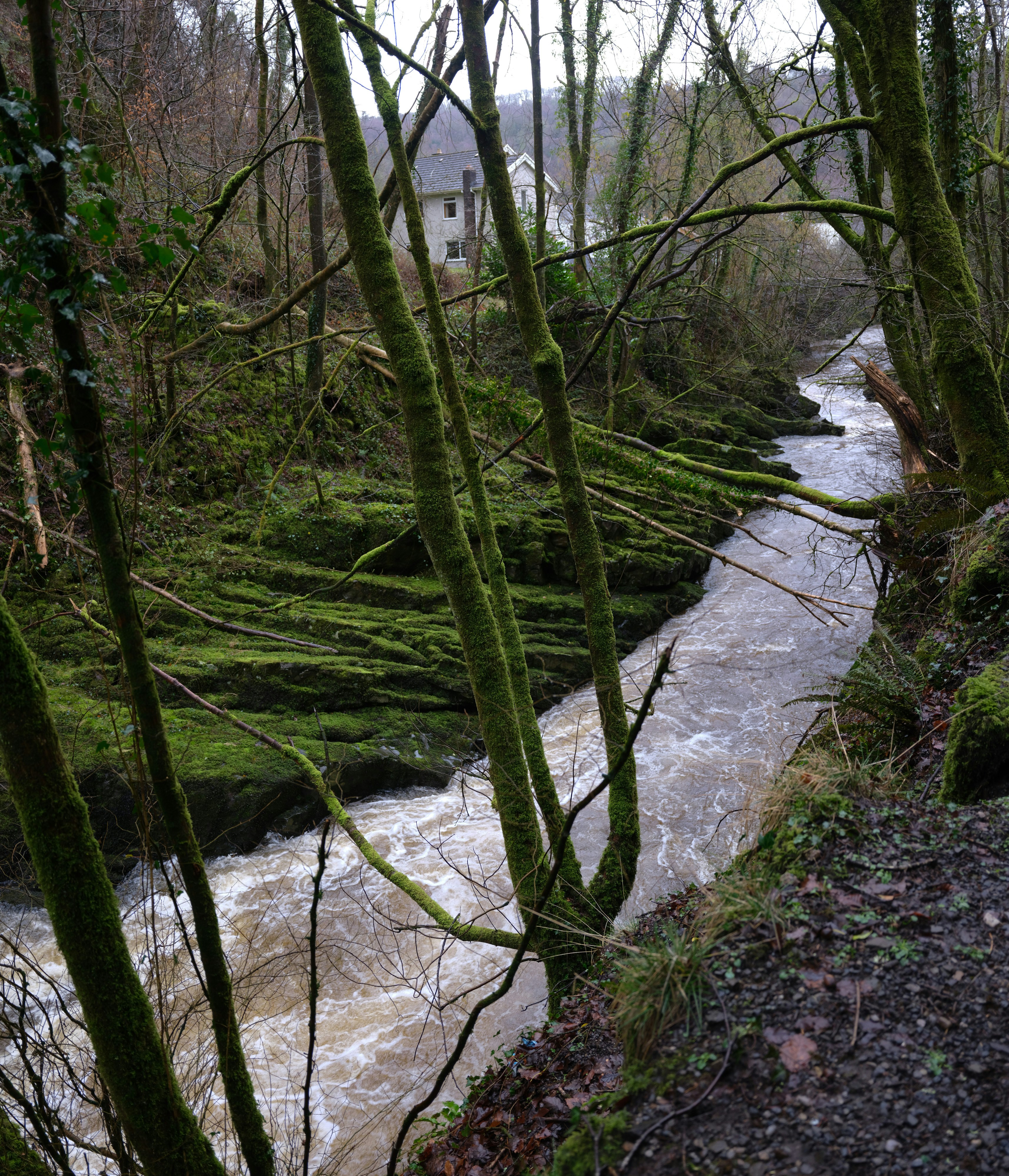 Photo by tanyabarrow