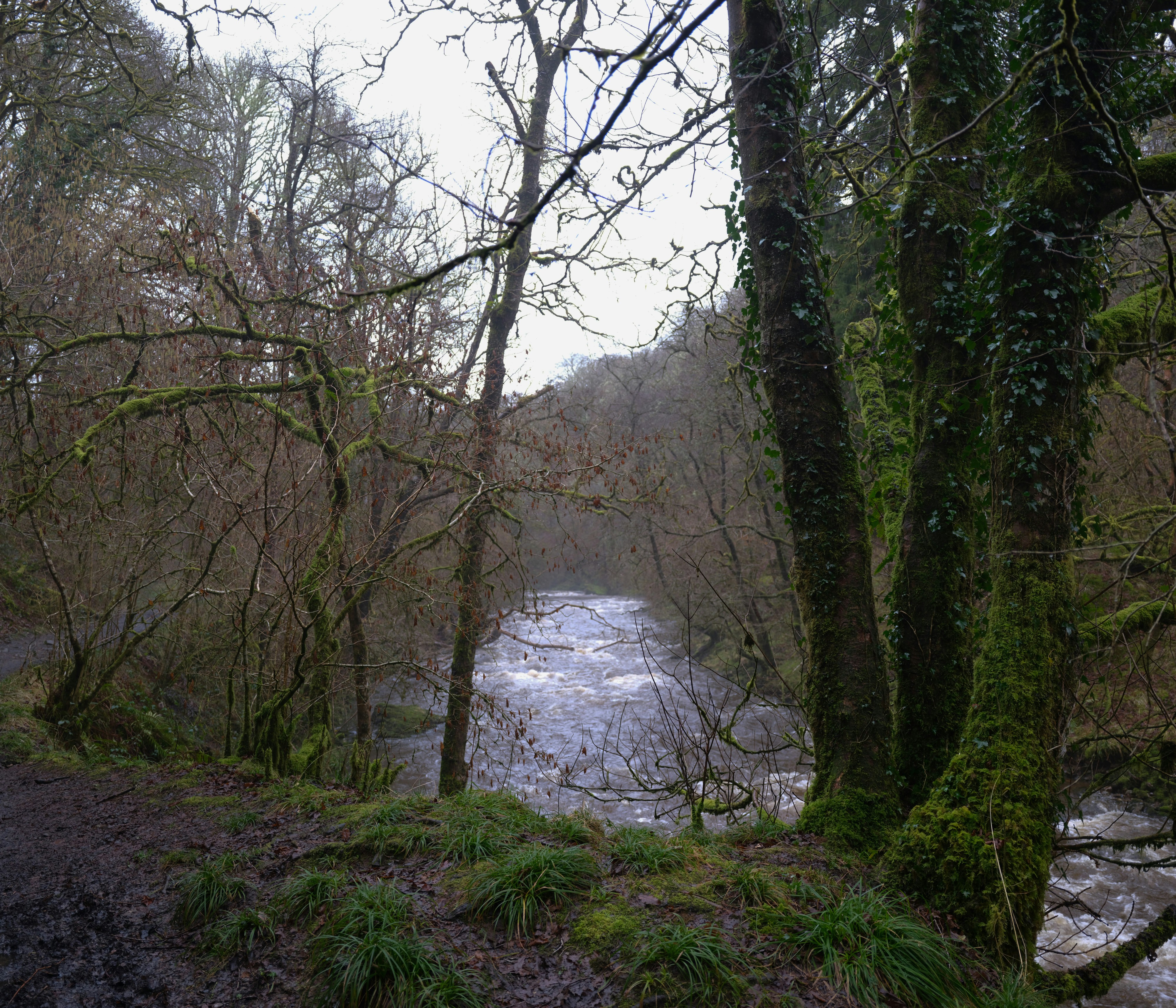 Photo by tanyabarrow