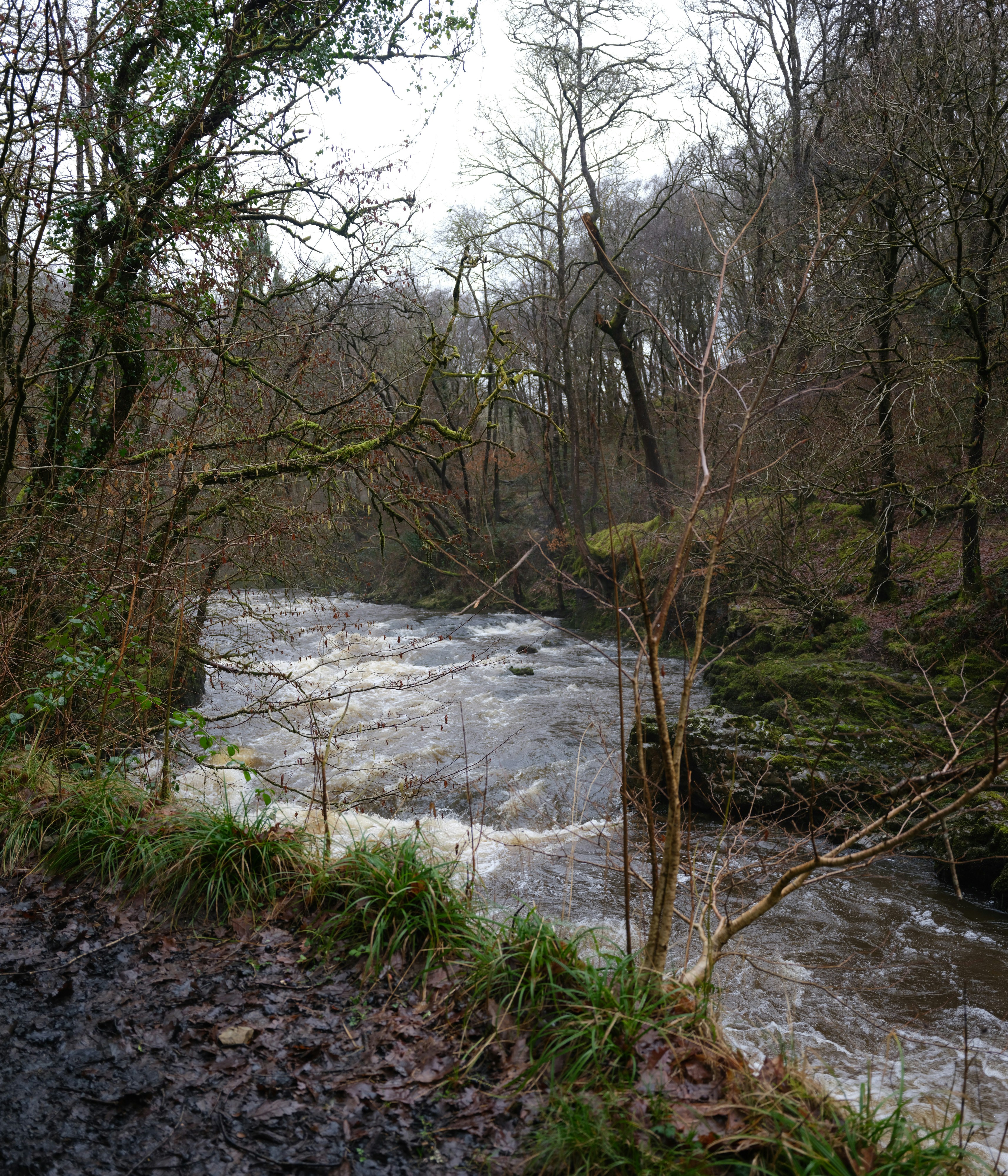 Photo by tanyabarrow