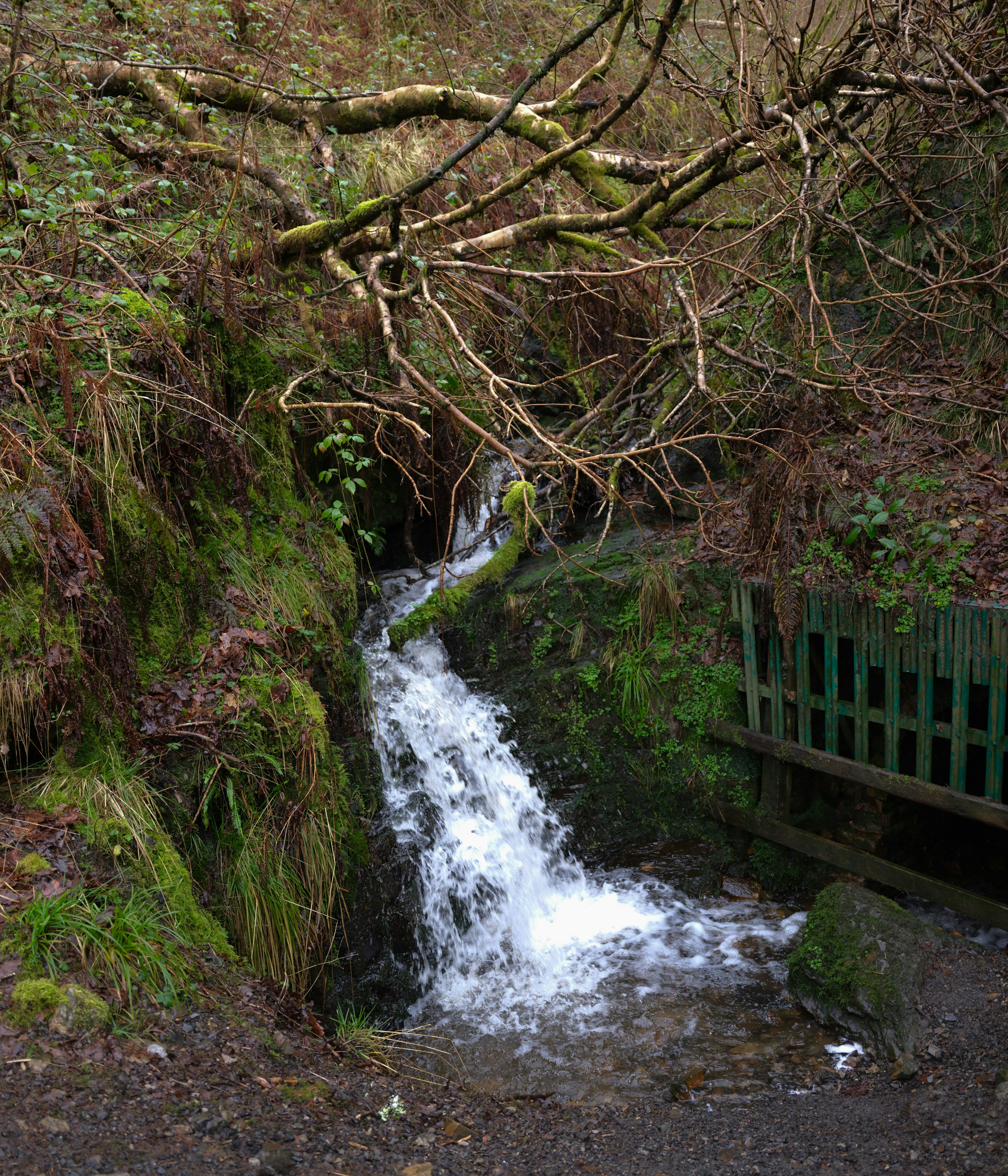 Photo by tanyabarrow