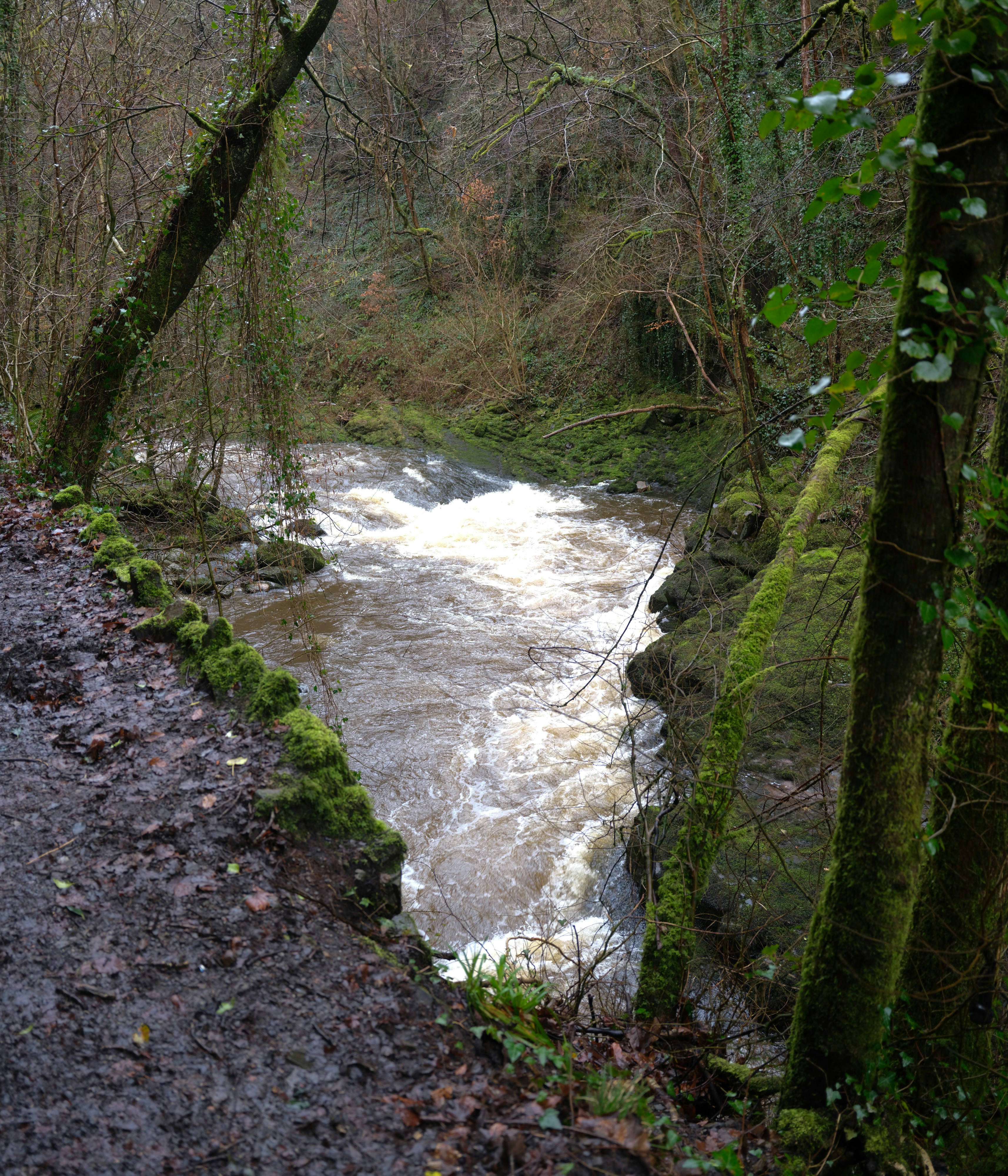 Photo by tanyabarrow