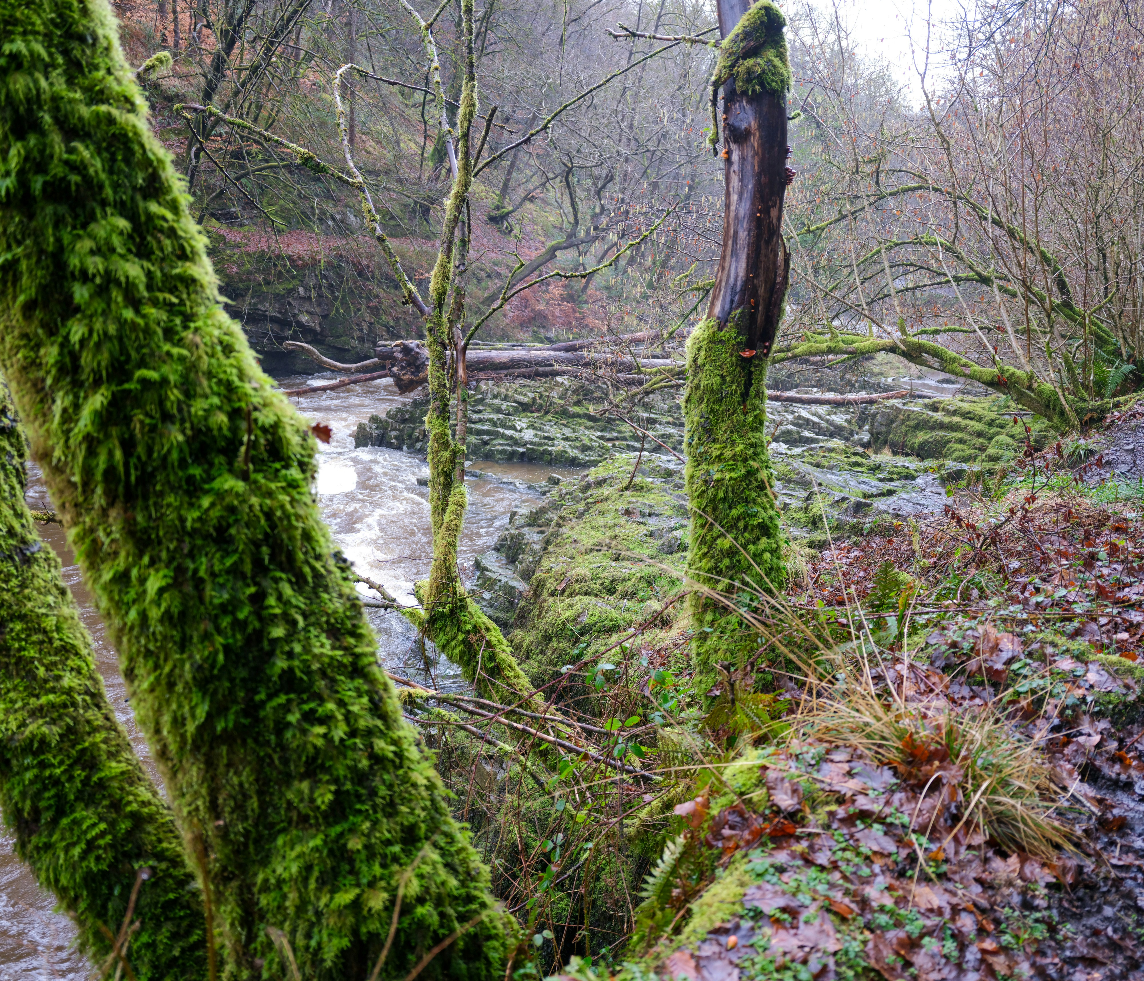 Photo by tanyabarrow