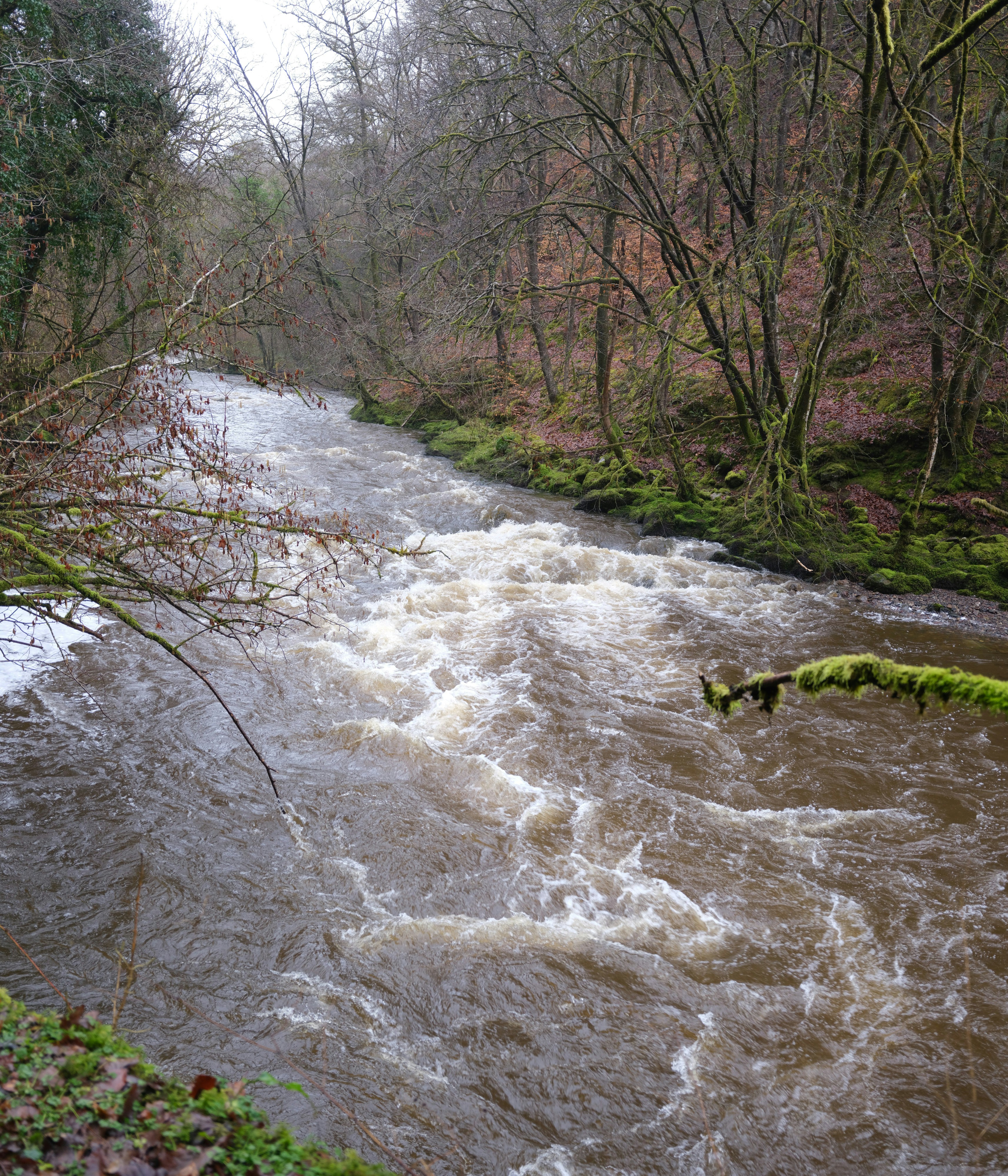 Photo by tanyabarrow