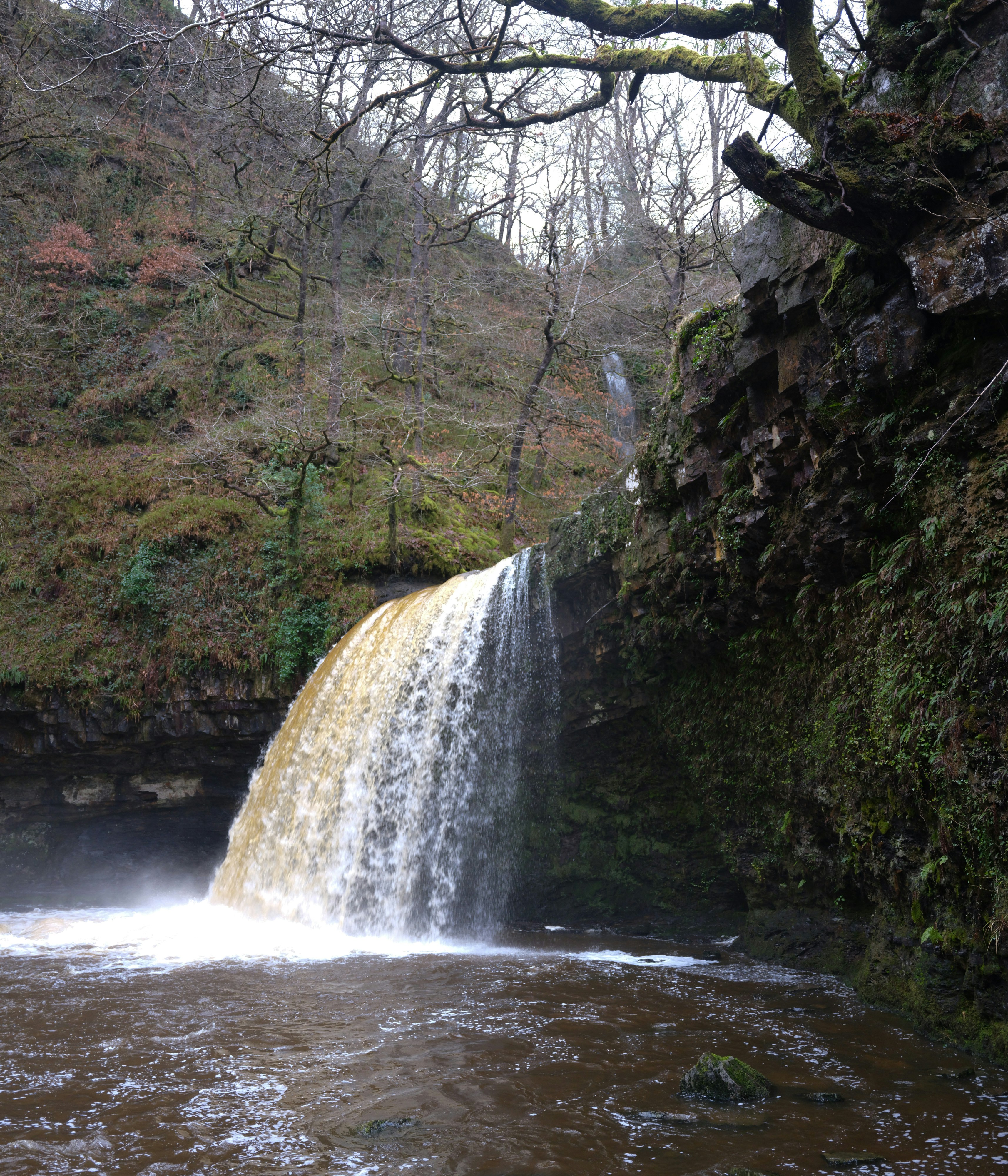 Photo by tanyabarrow