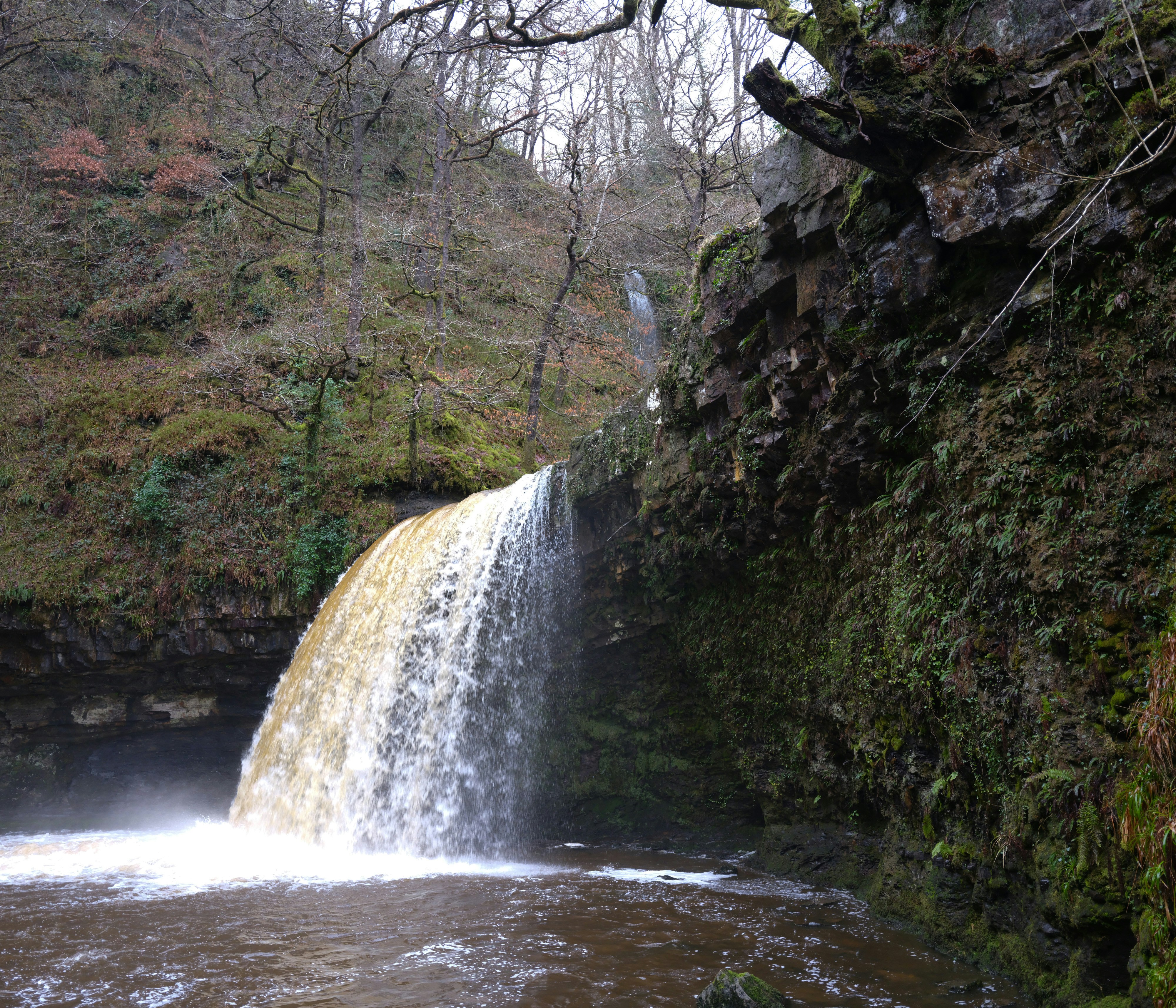 Photo by tanyabarrow