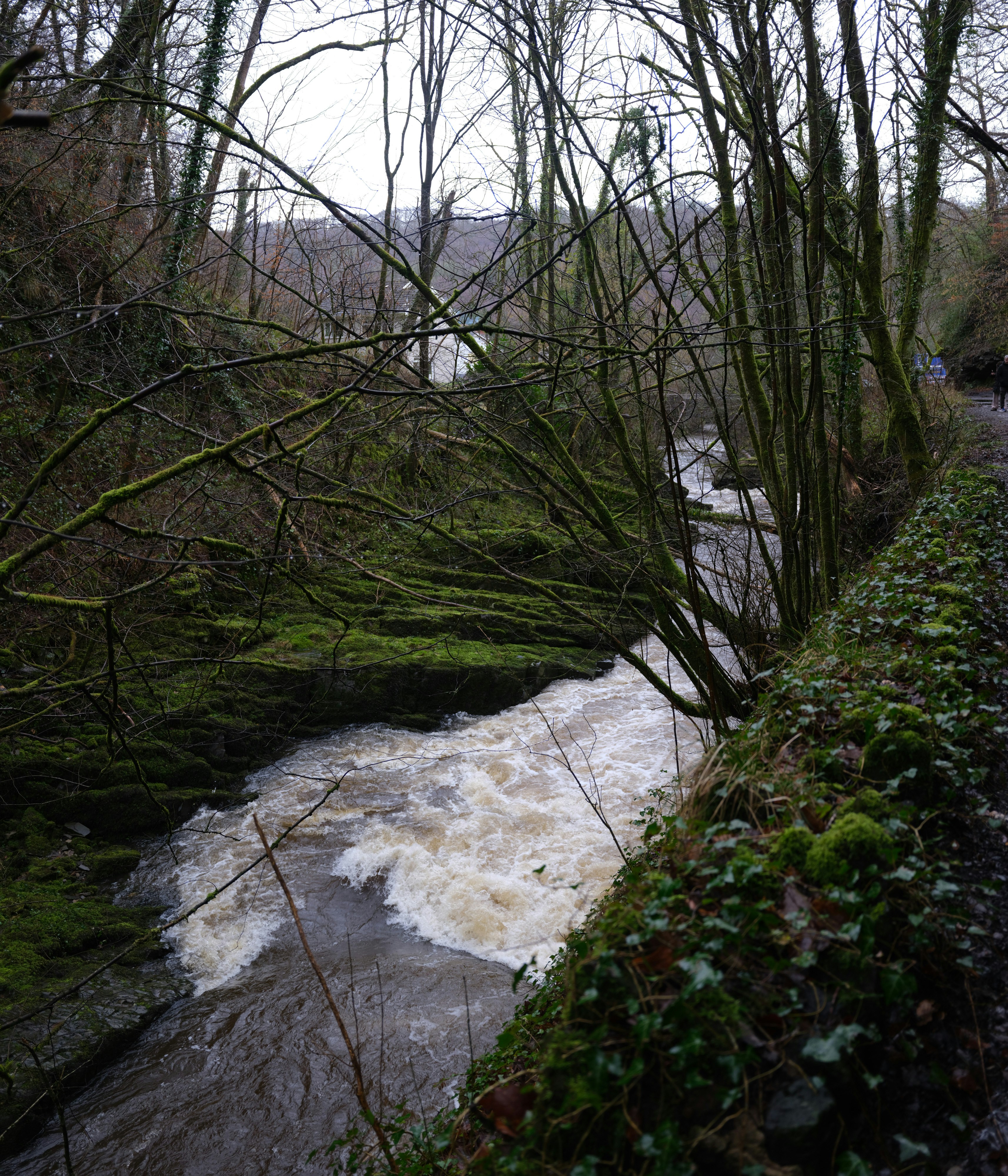 Photo by tanyabarrow