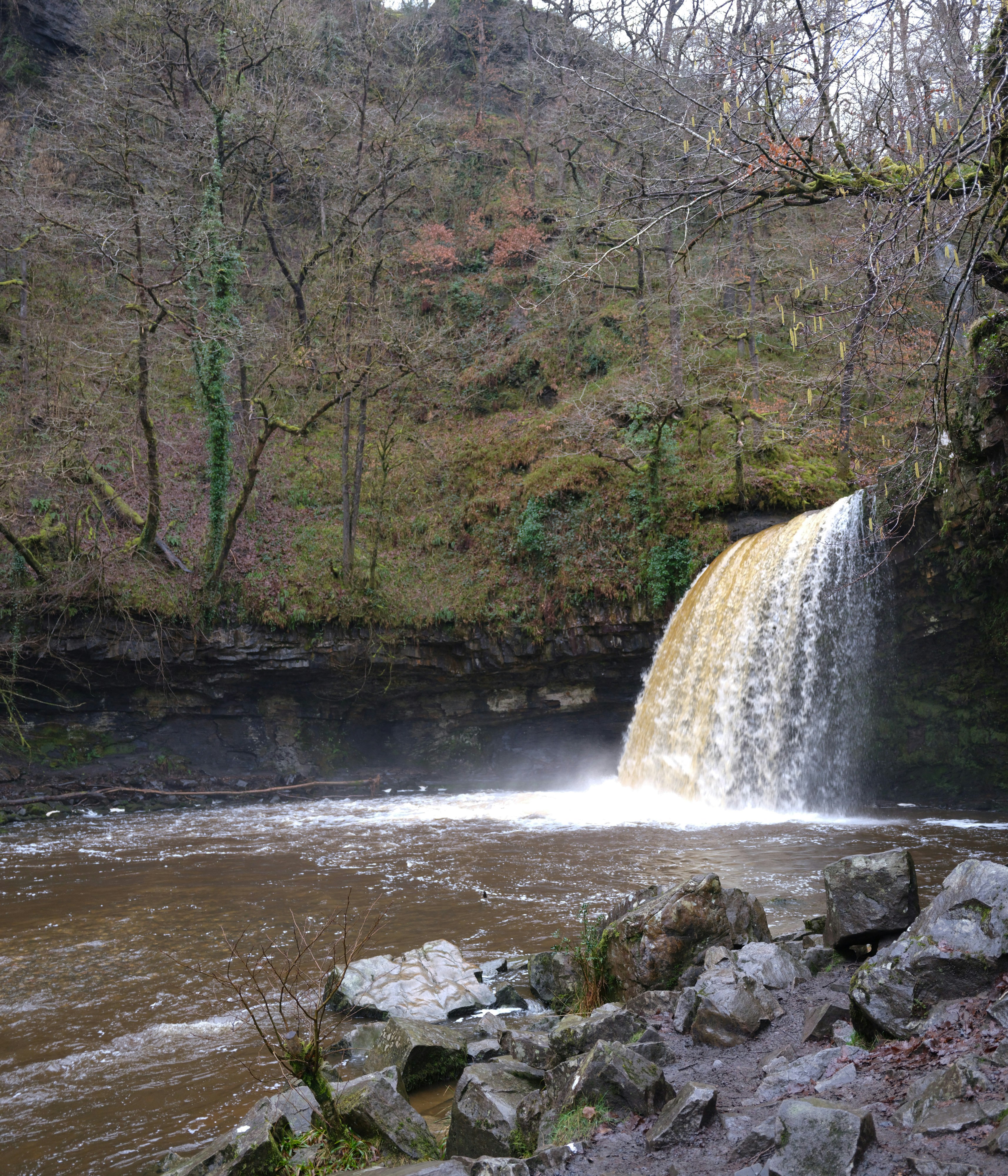 Photo by tanyabarrow