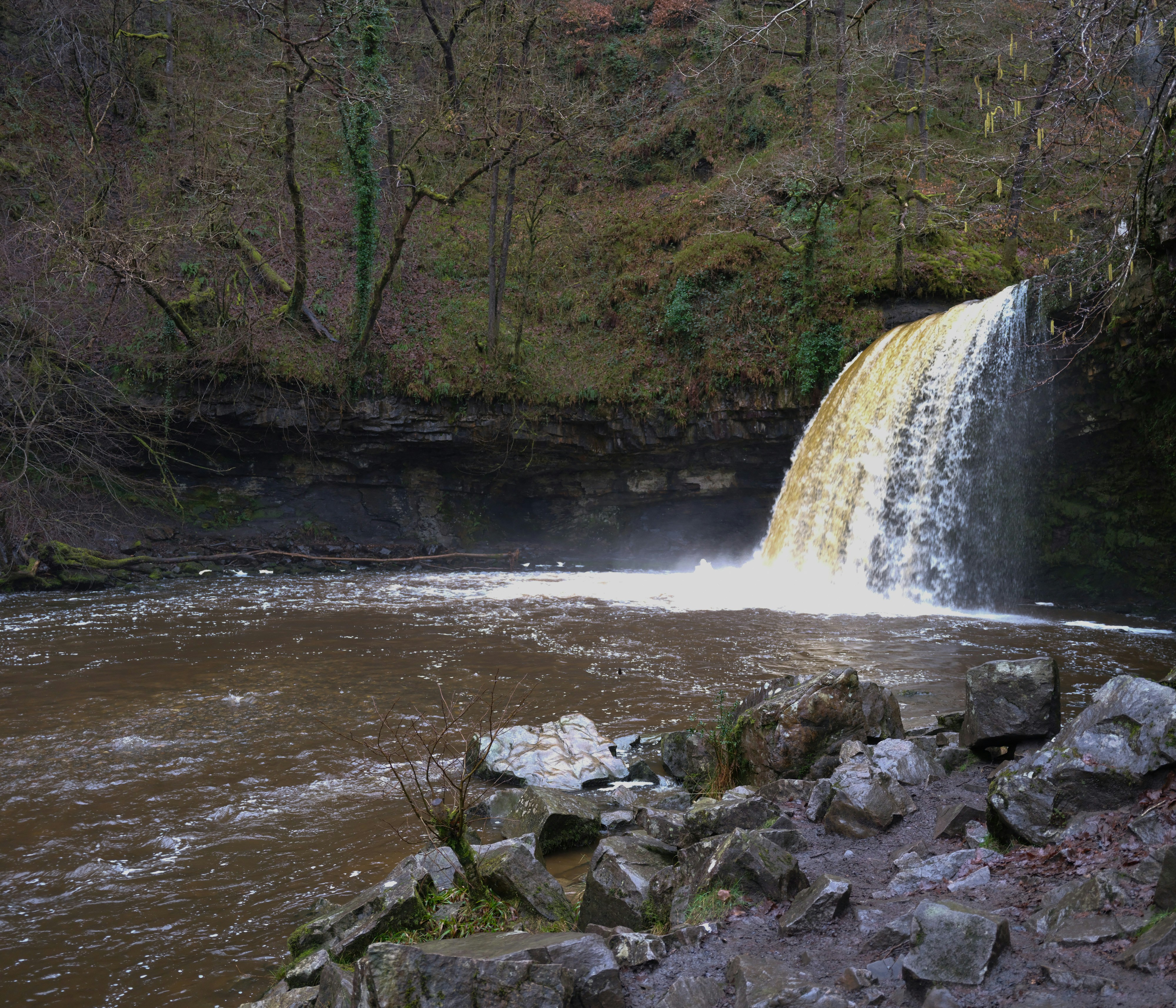 Photo by tanyabarrow