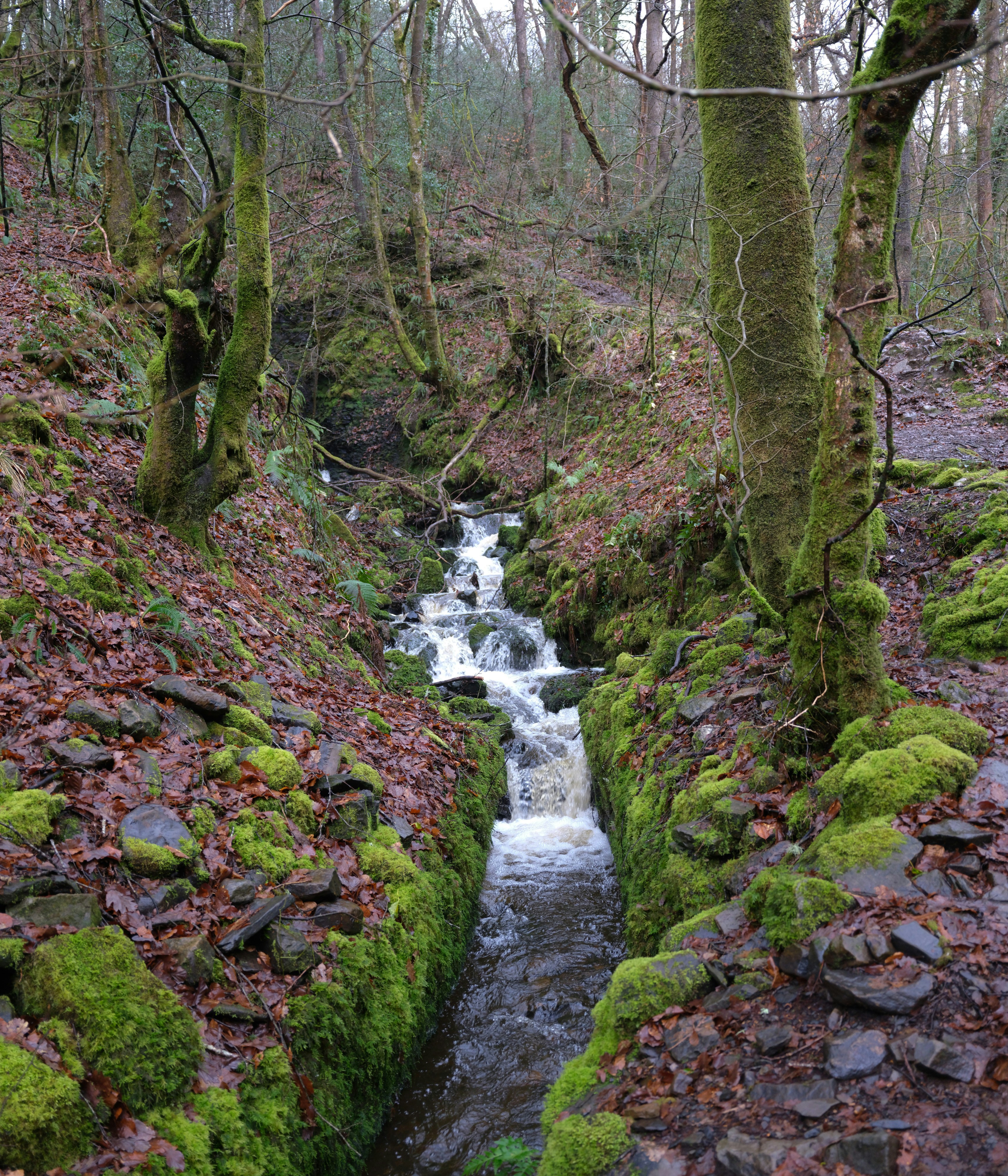 Photo by tanyabarrow