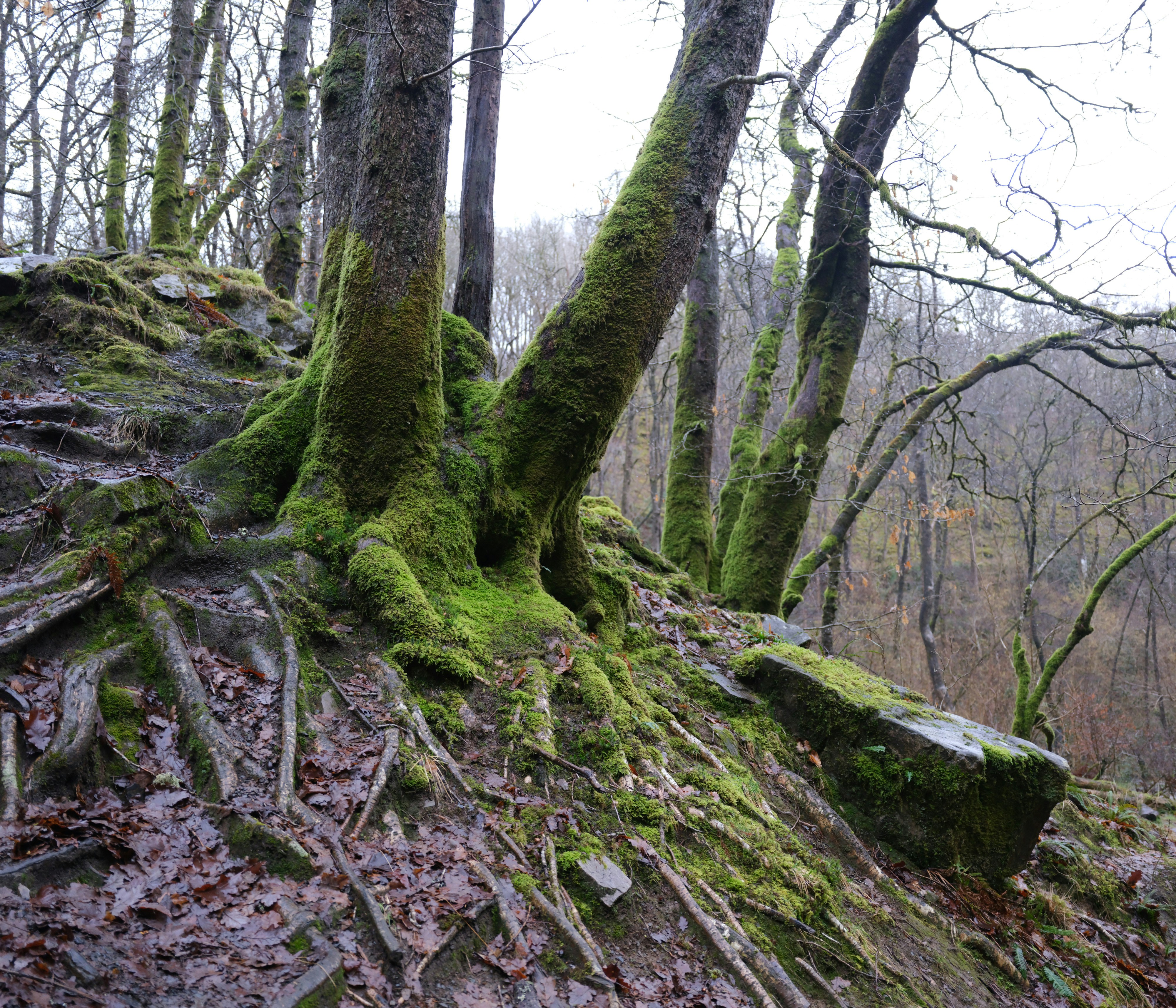 Photo by tanyabarrow