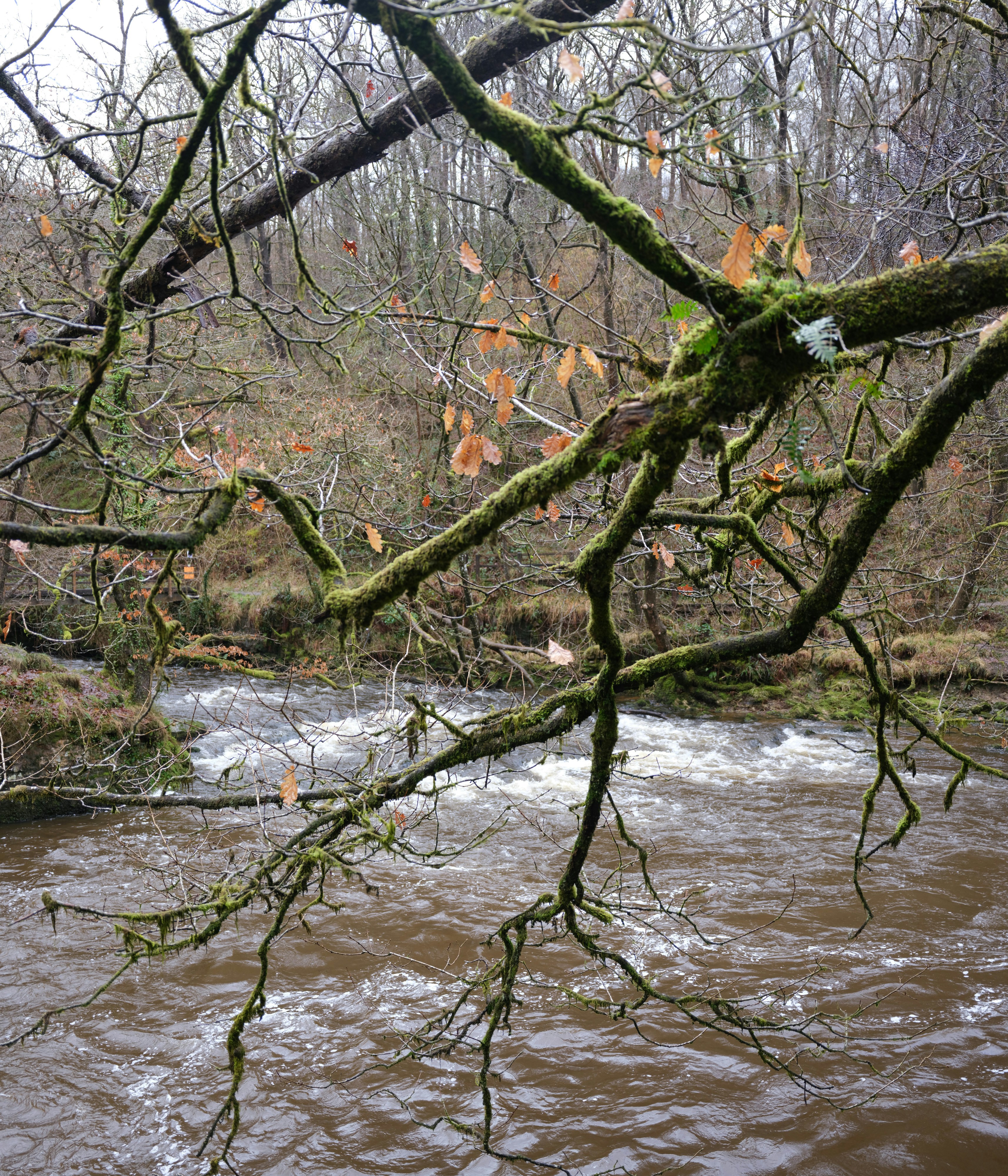 Photo by tanyabarrow