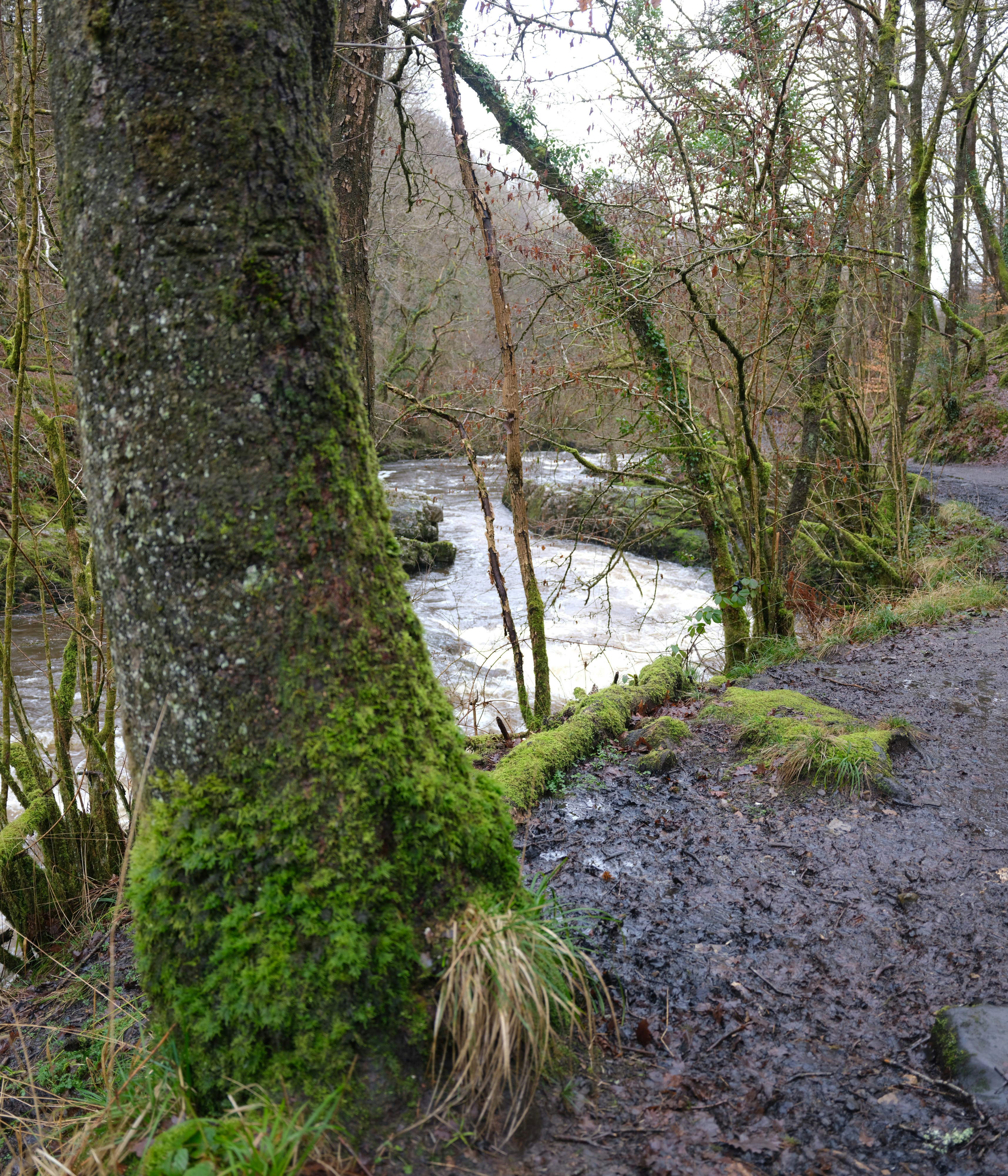 Photo by tanyabarrow