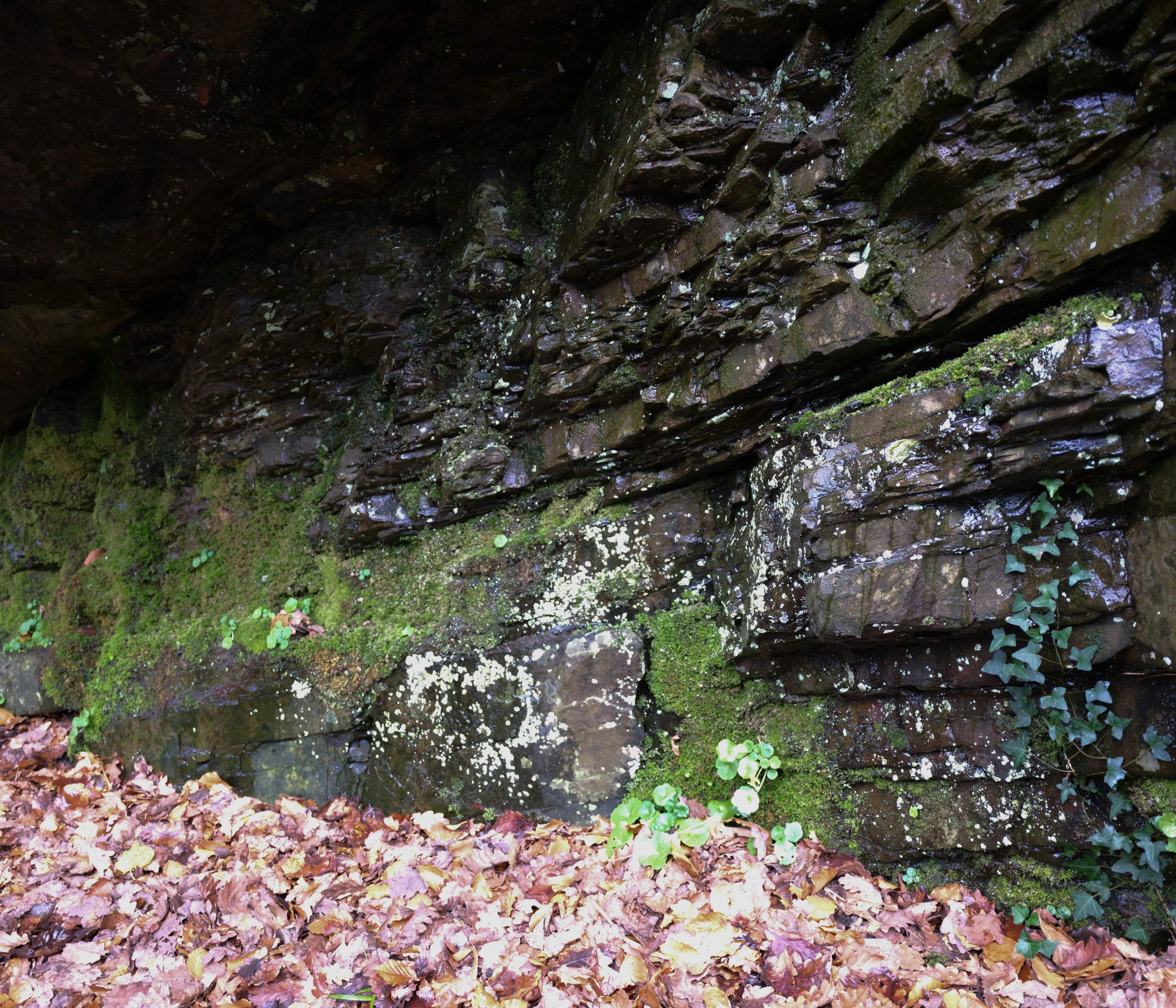 Photo by tanyabarrow