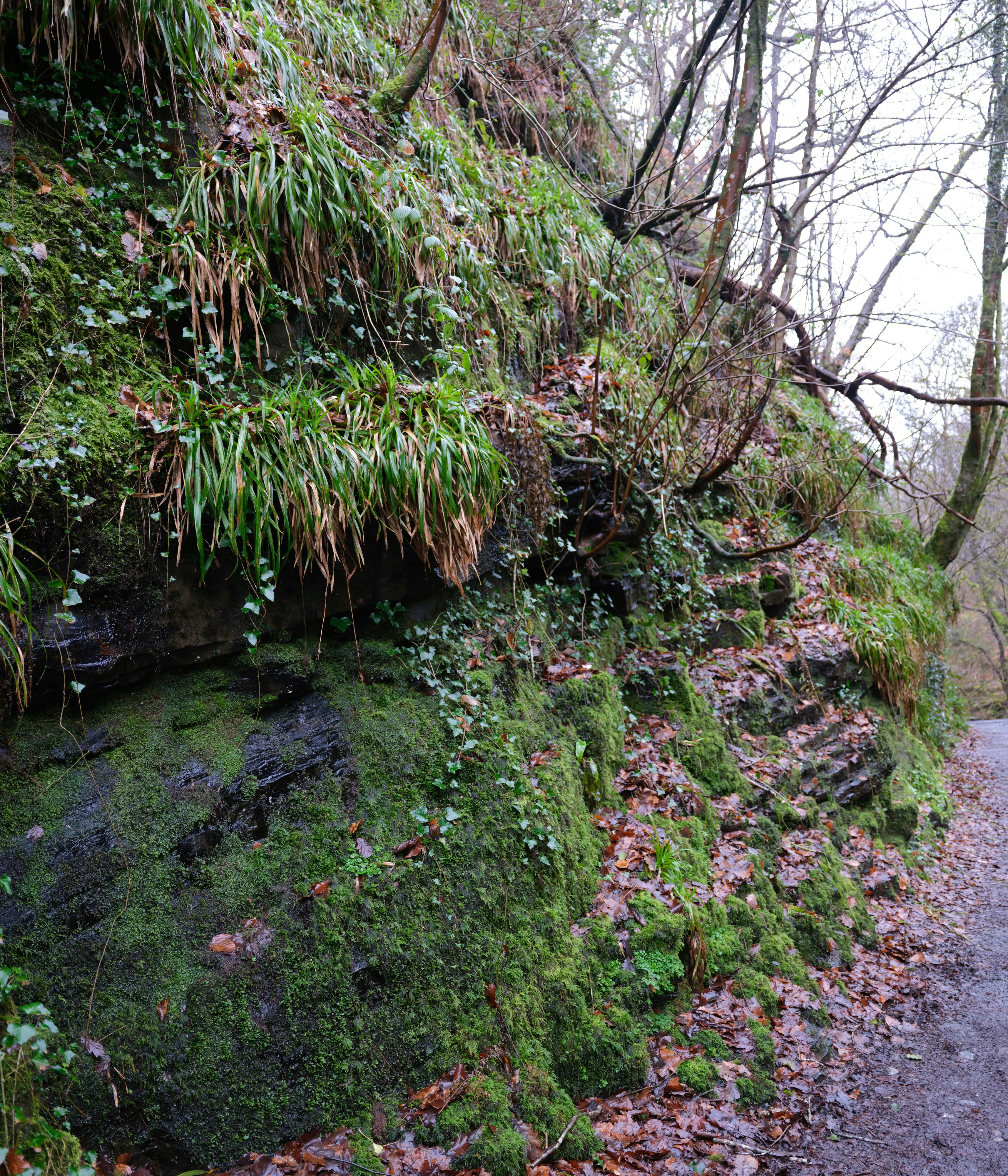 Photo by tanyabarrow