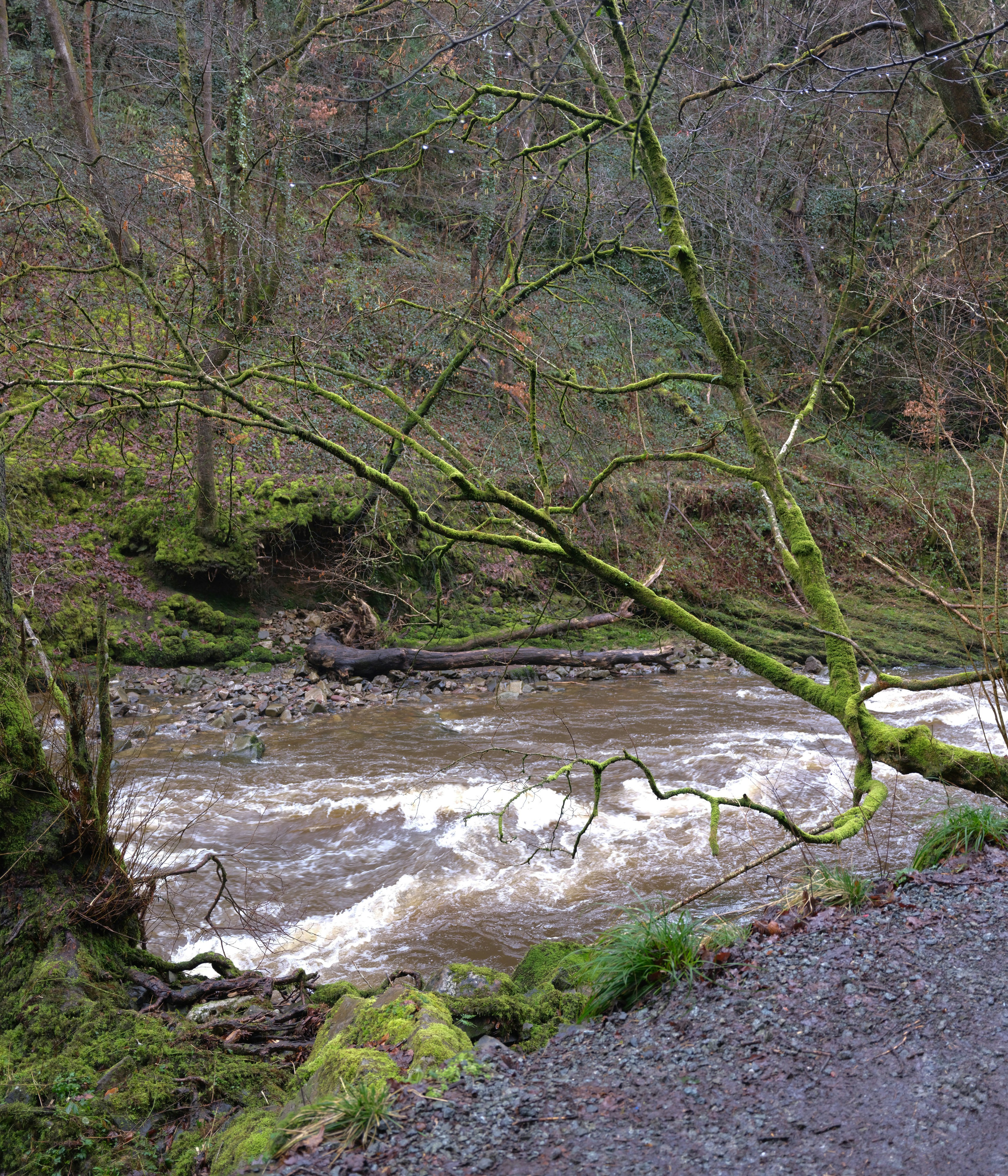 Photo by tanyabarrow