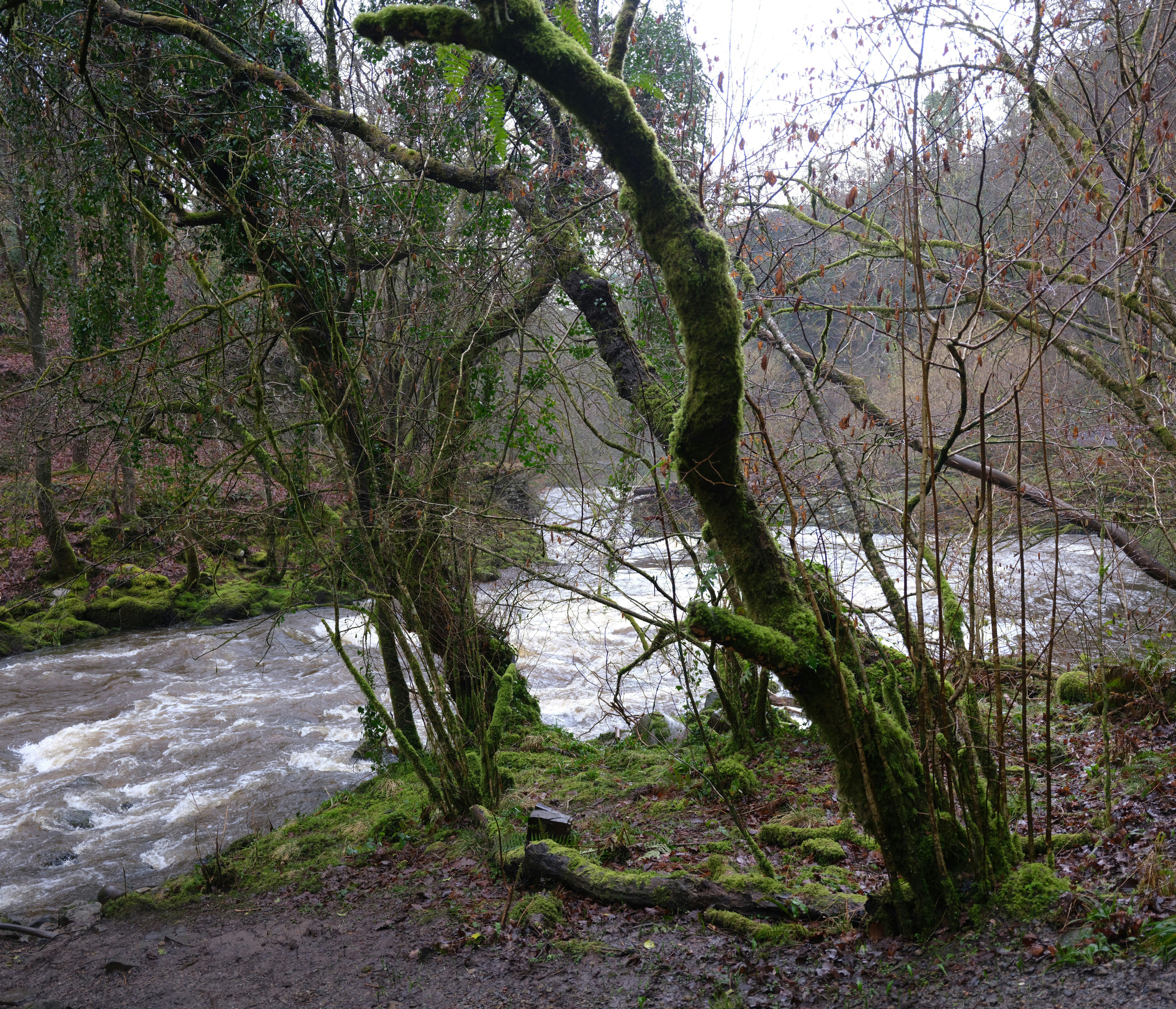 Photo by tanyabarrow