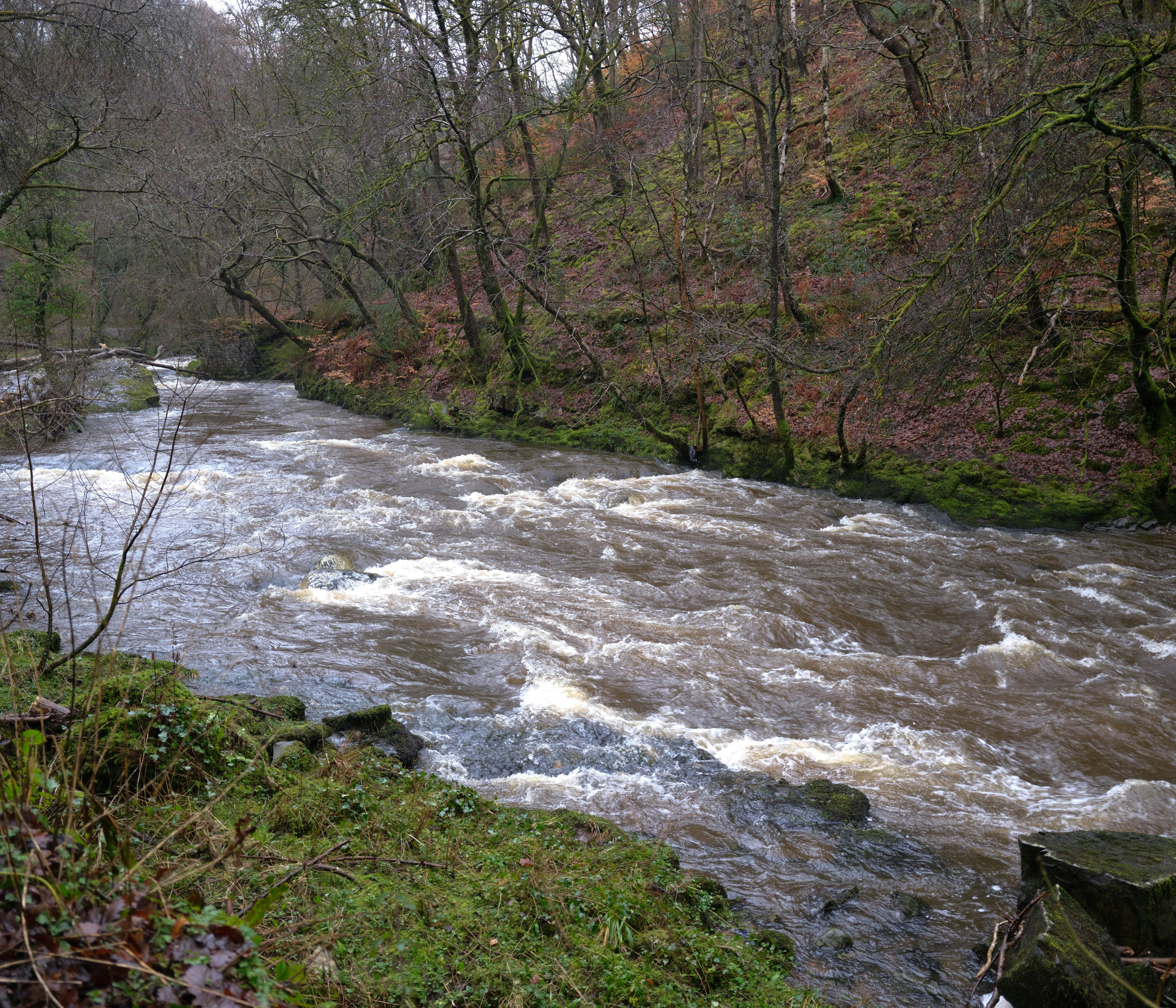 Photo by tanyabarrow