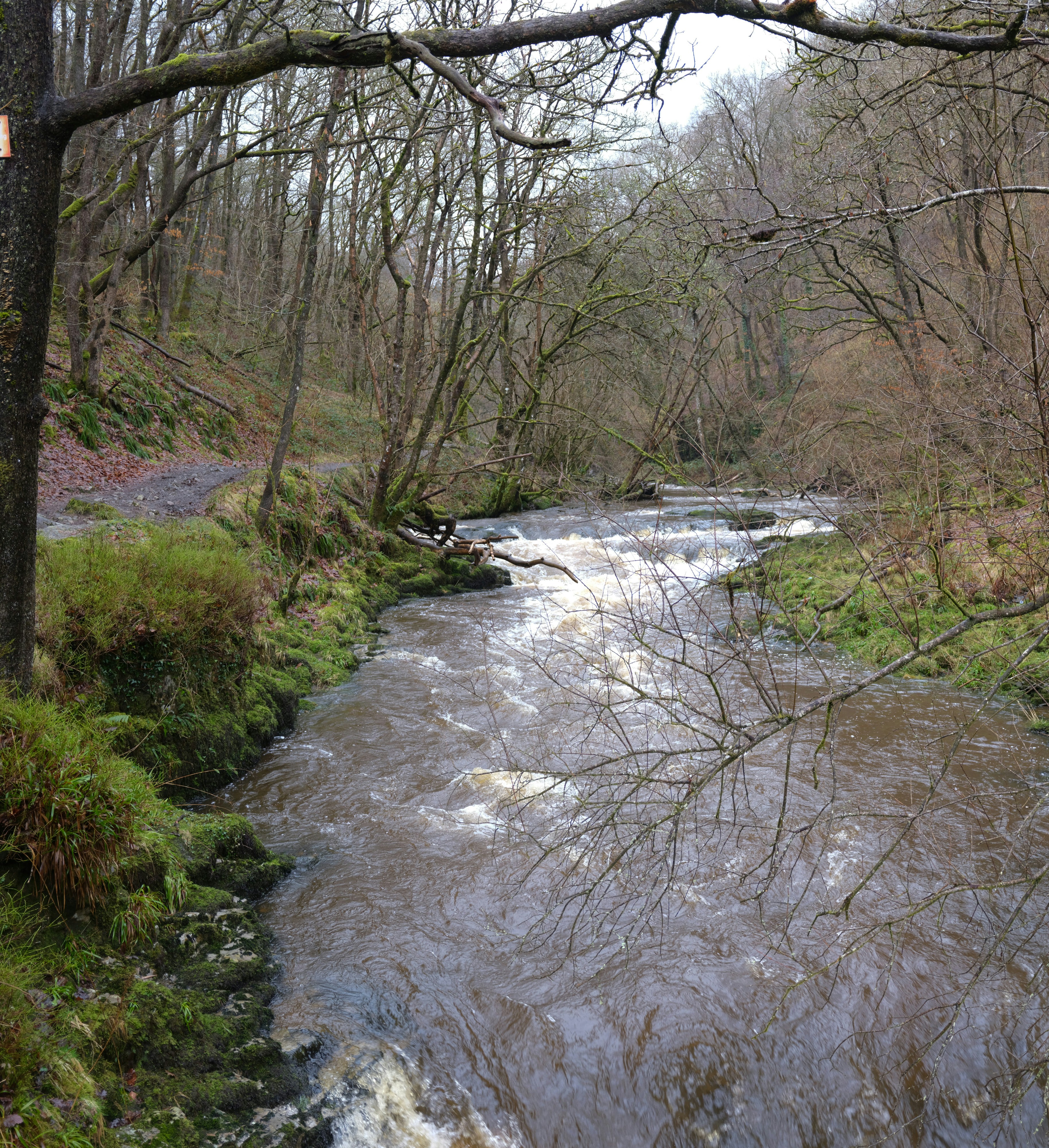 Photo by tanyabarrow