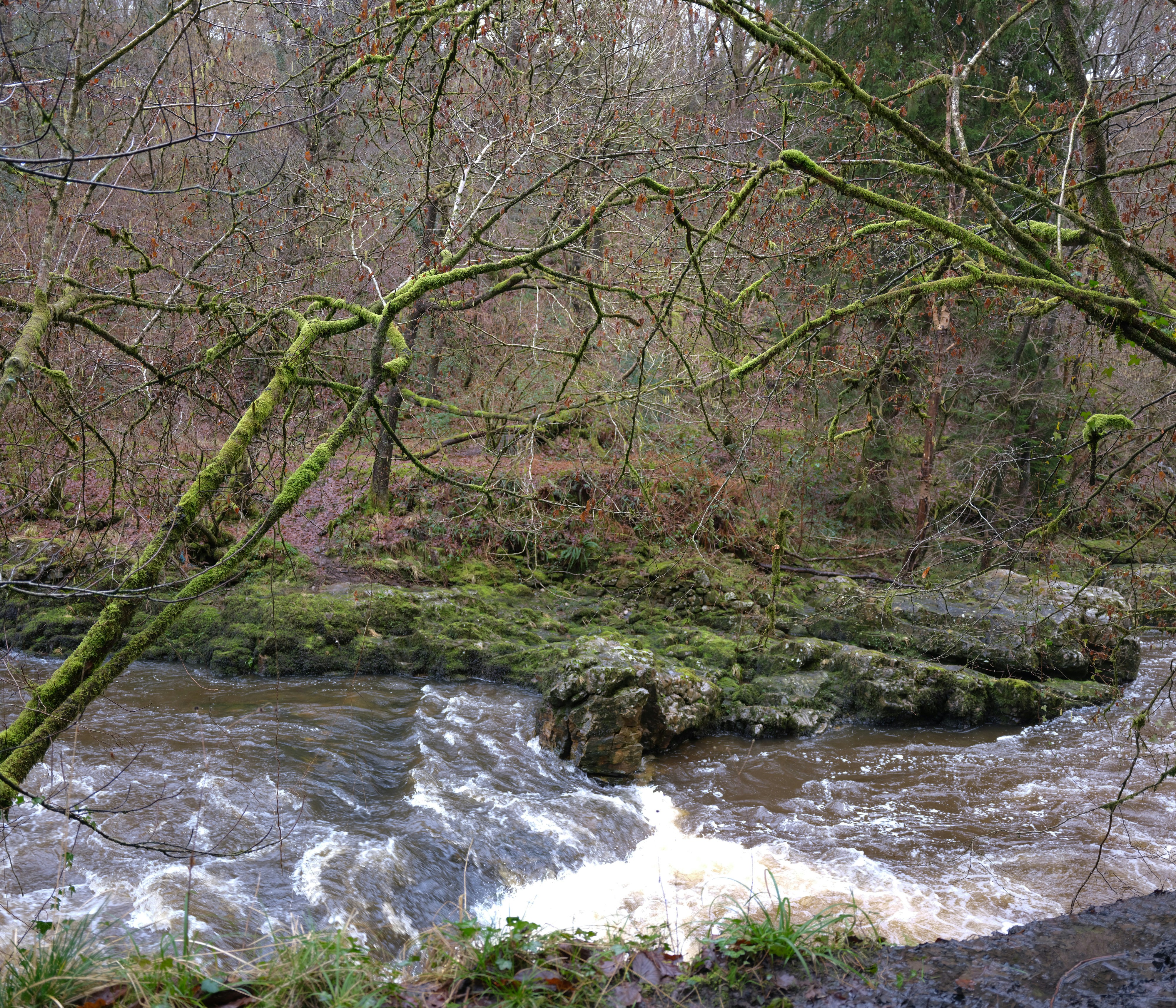 Photo by tanyabarrow