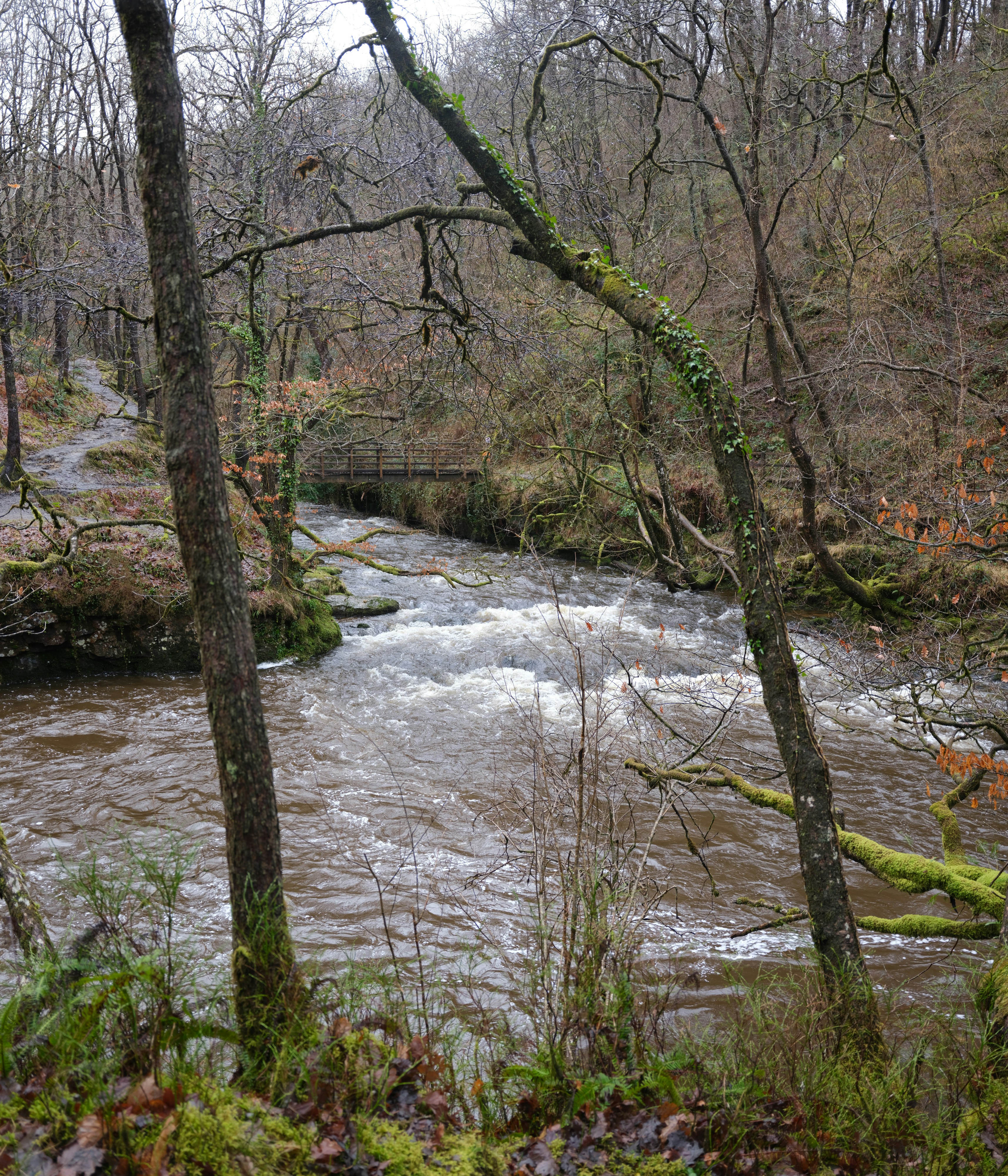 Photo by tanyabarrow